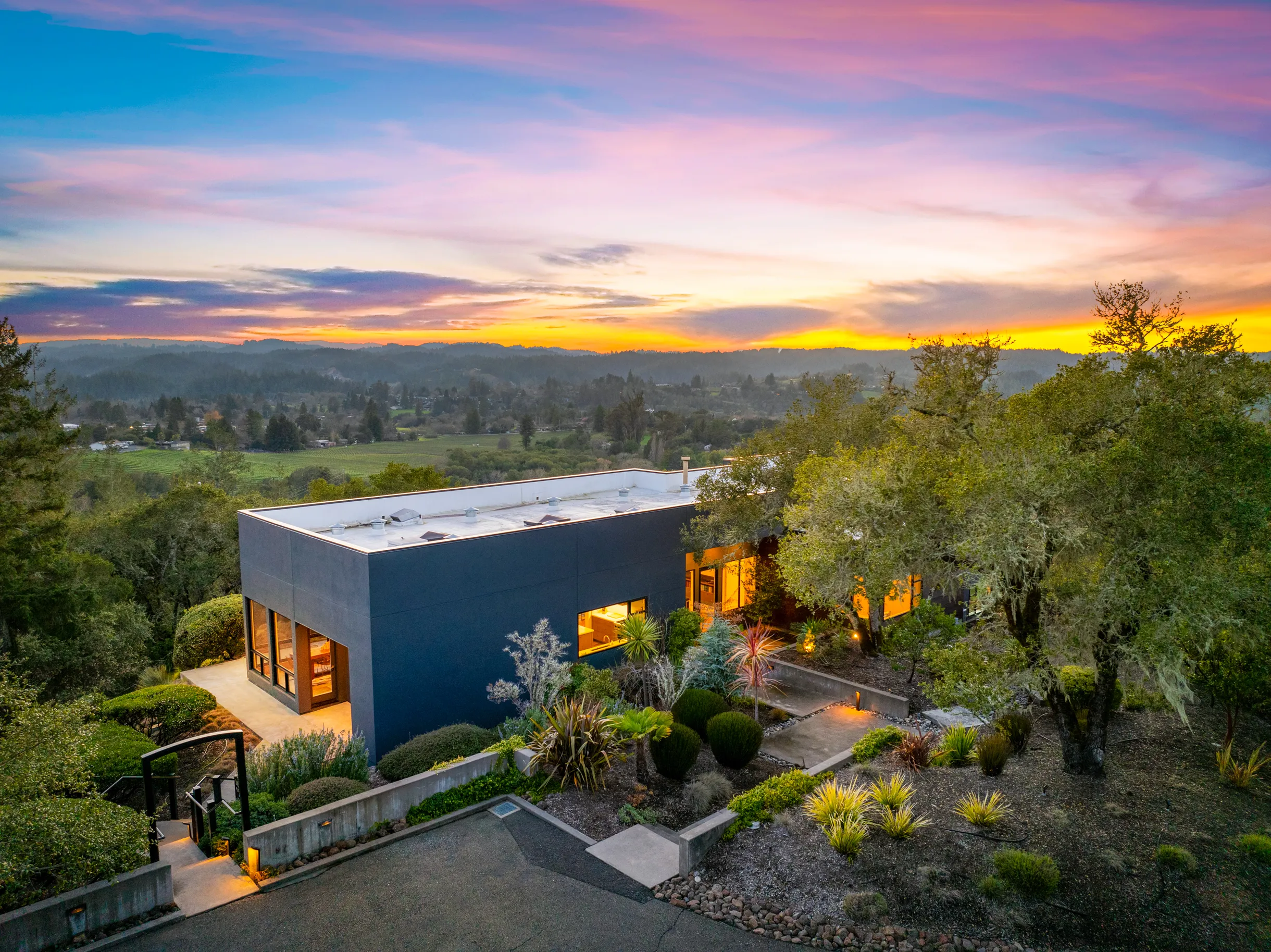 Wander Sonoma Vineyards #4