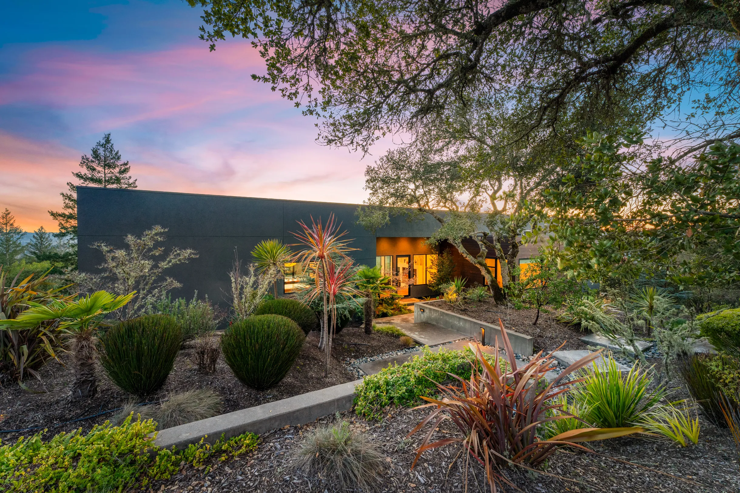 Wander Sonoma Vineyards #5