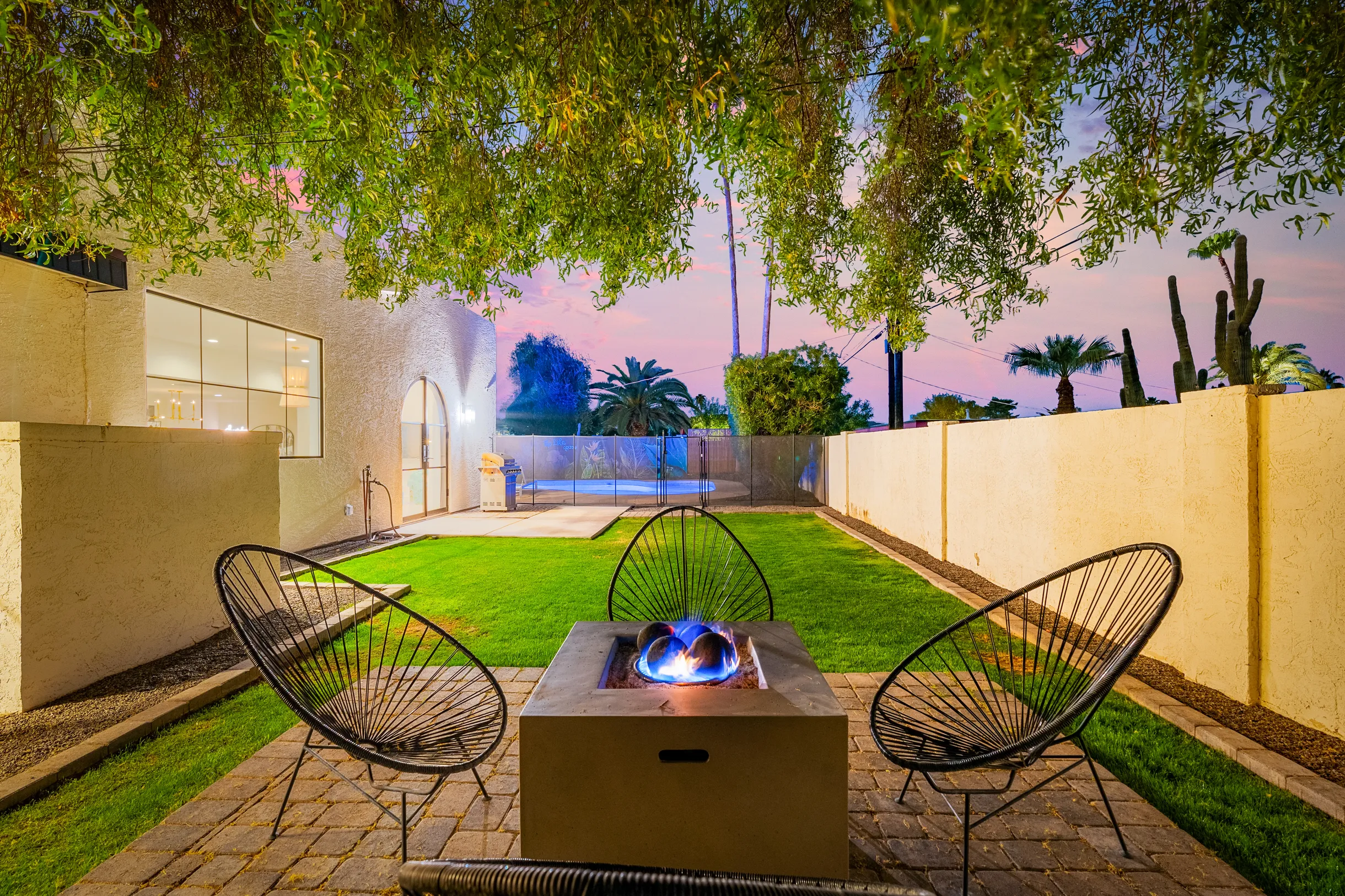 Wander Phoenix Vista #62