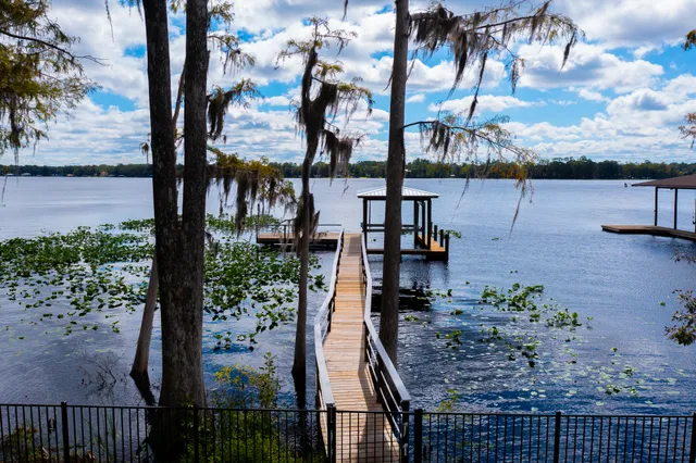 Wander Jacksonville Waterfront #2