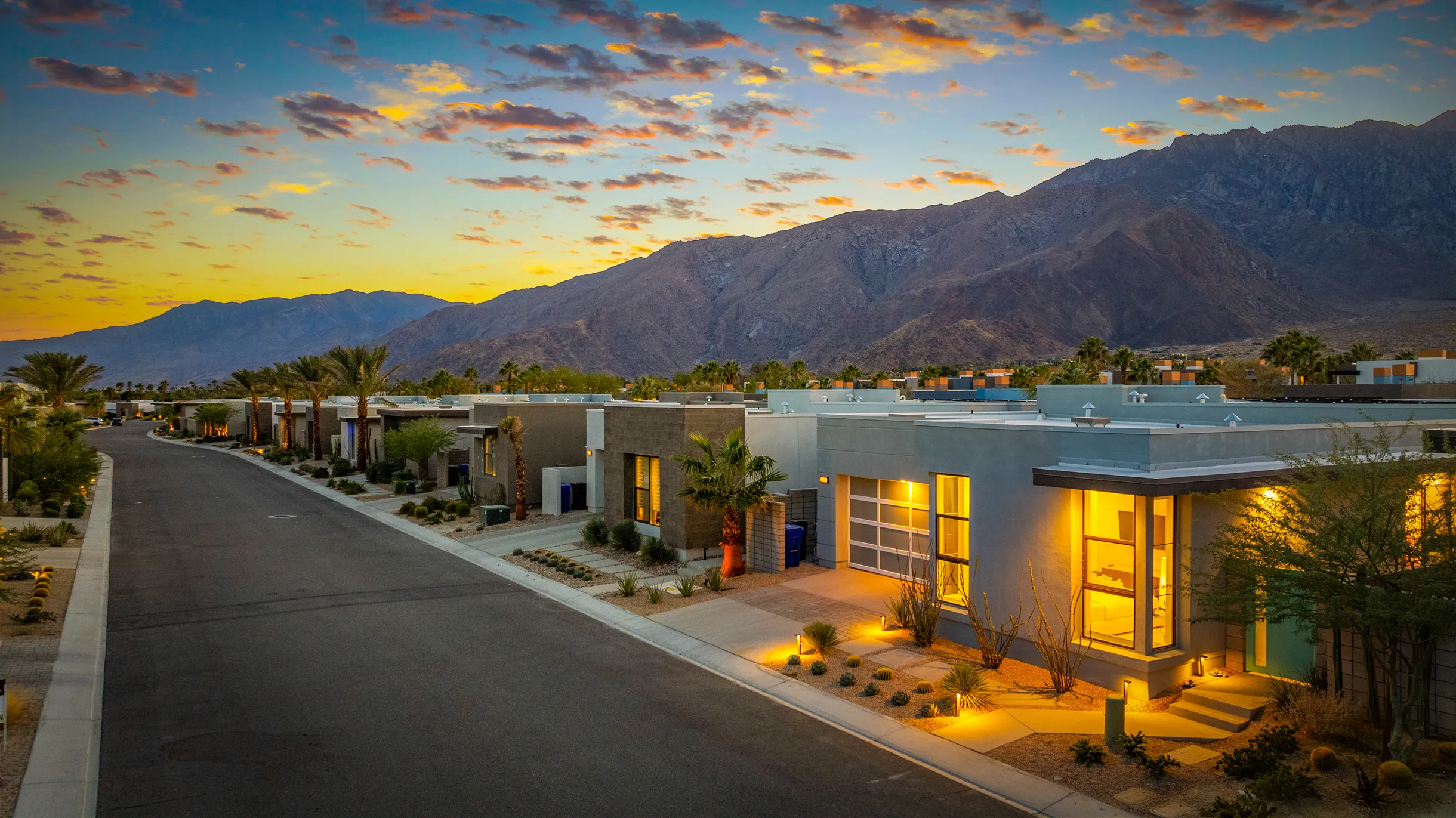 Wander Palm Springs Oasis #51