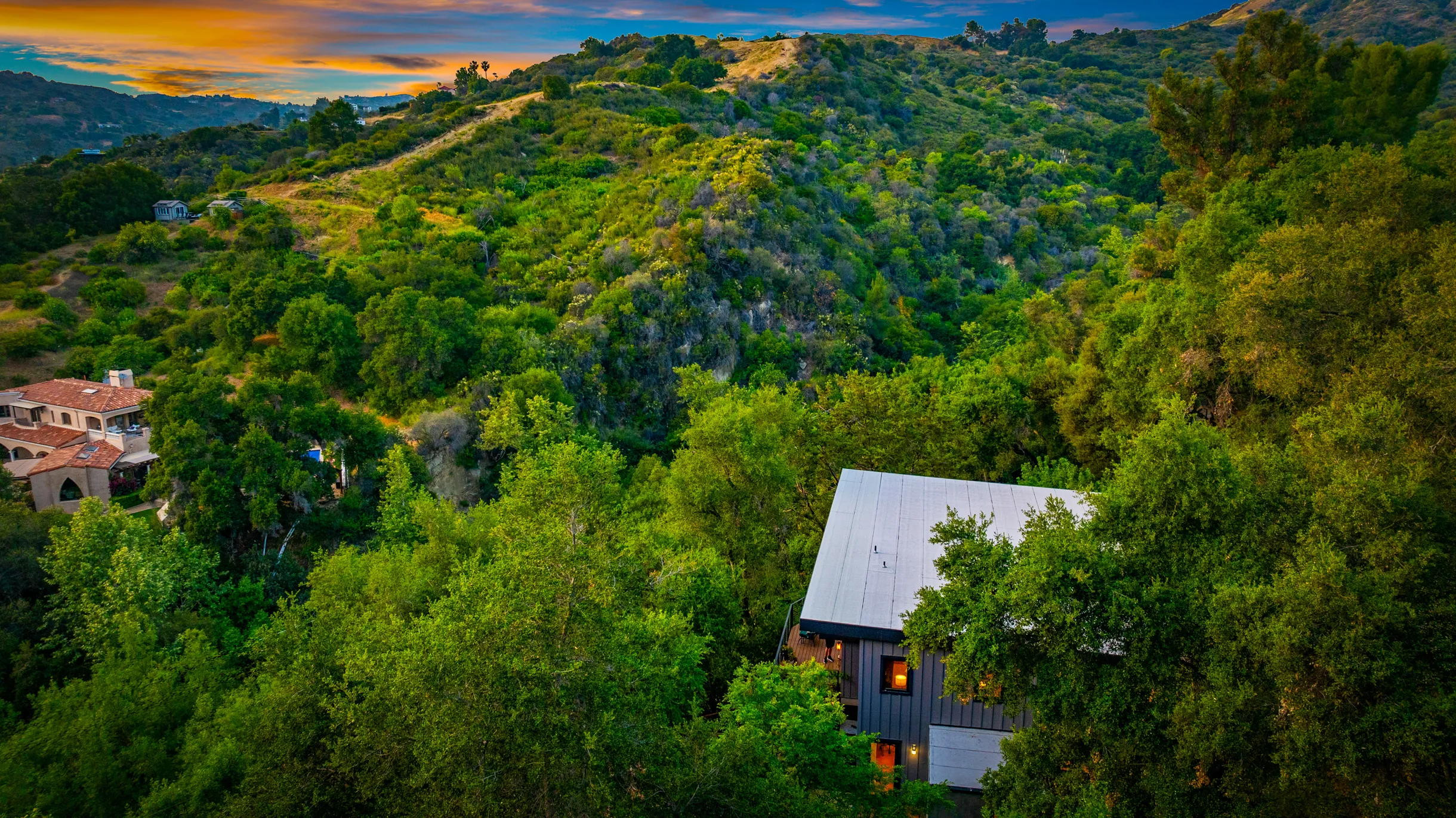 Wander Topanga Canyon #72