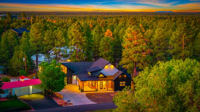 Wander Bison Ridge #2