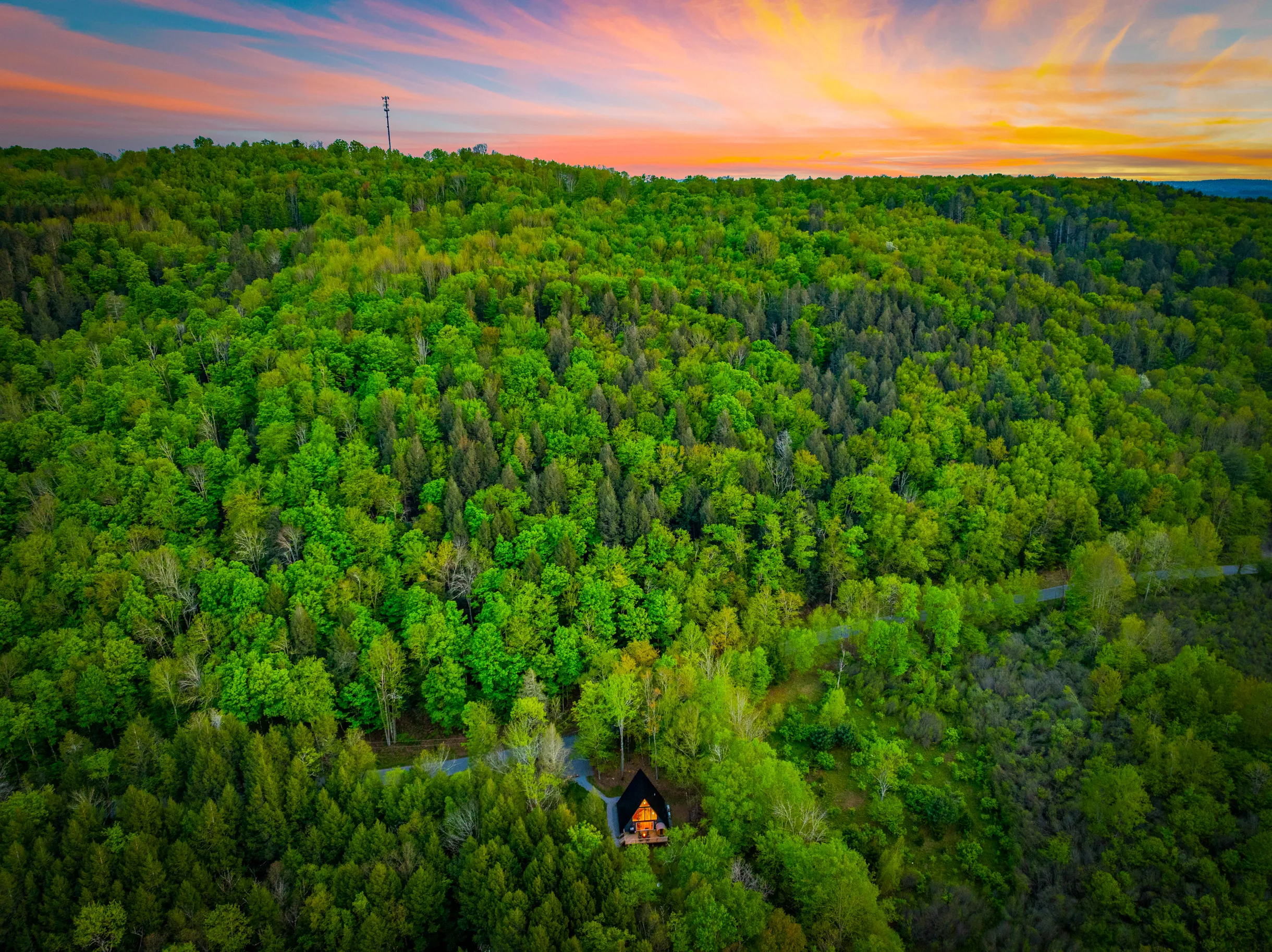 Wander Catskills Ridge #37
