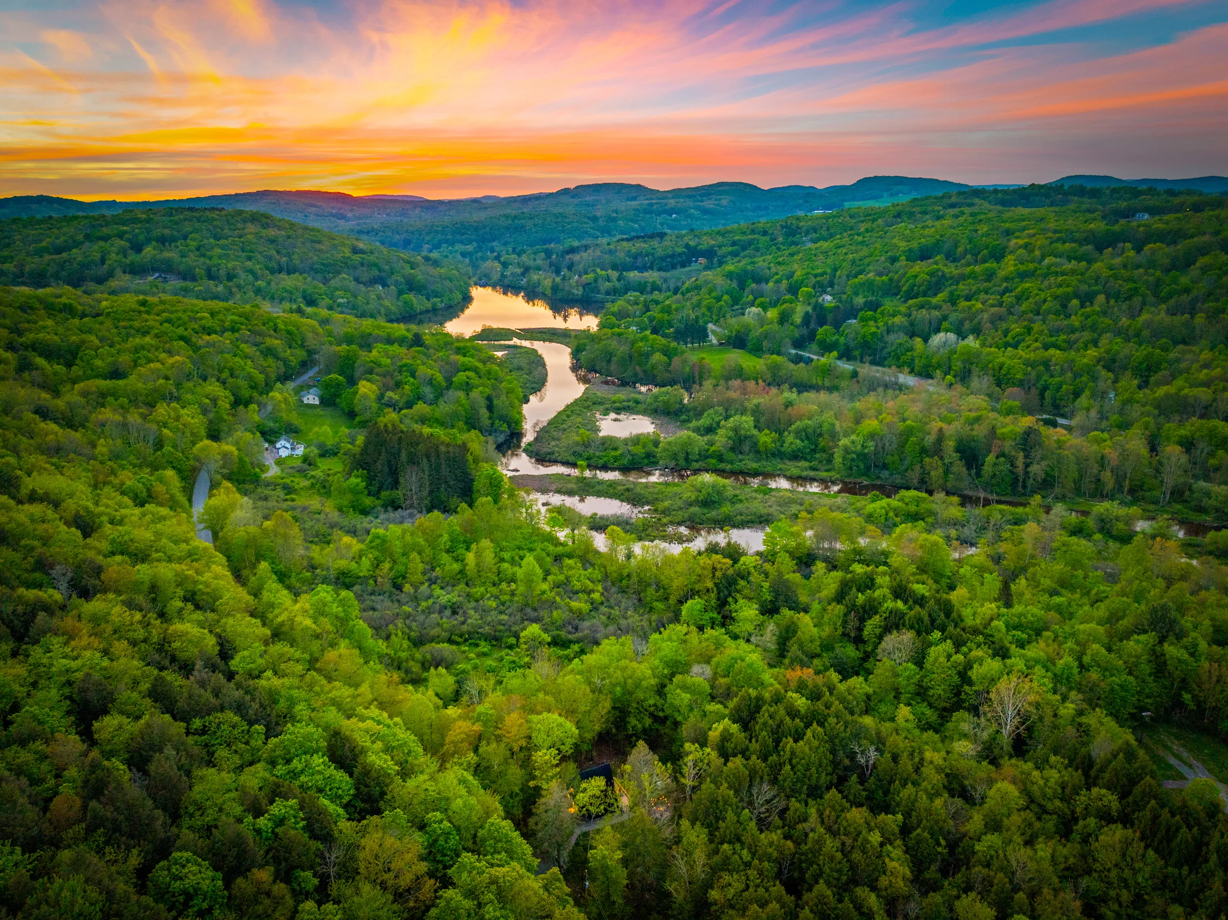 Wander Catskills Ridge #41