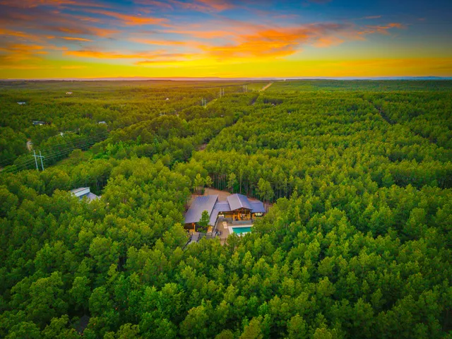 Wander Broken Bow Hickory #2