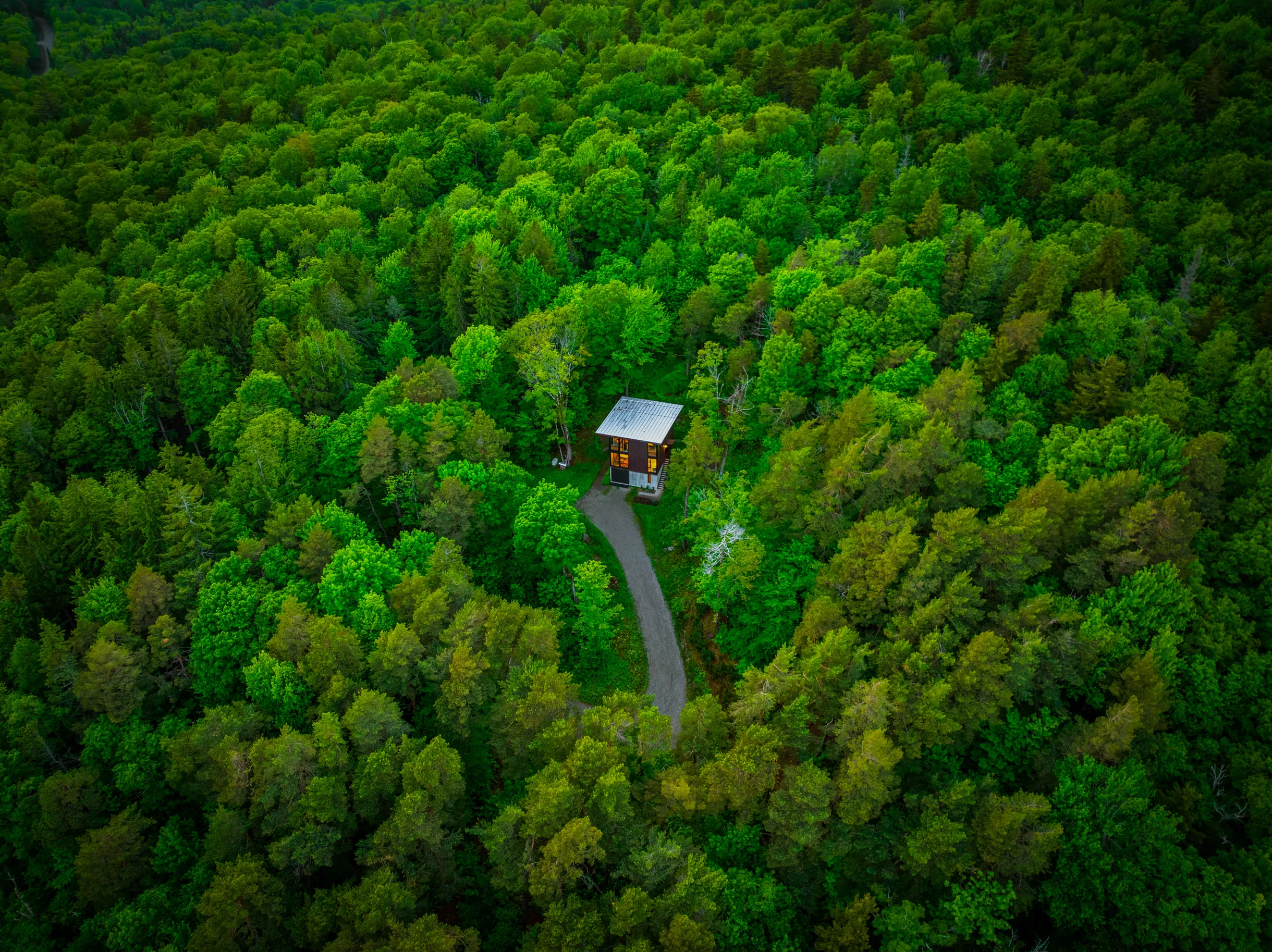 Wander Stowe Nest #51