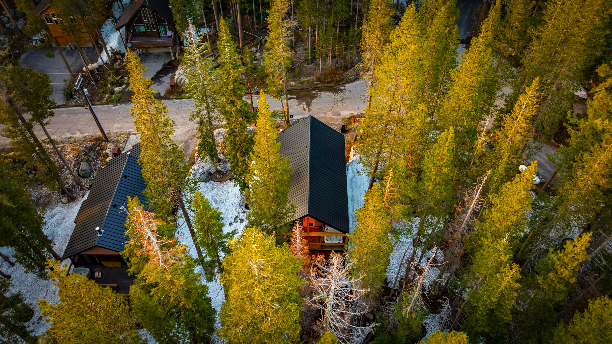 Wander Donner Summit #82