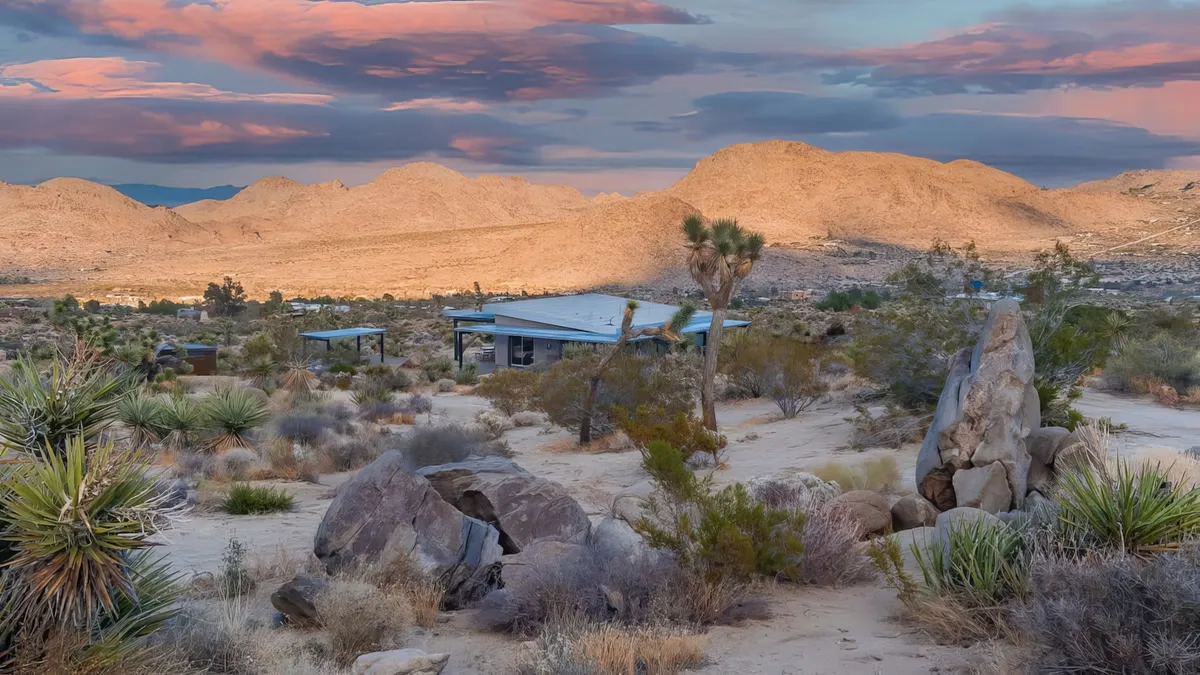 Wander Joshua Tree Sunset #28