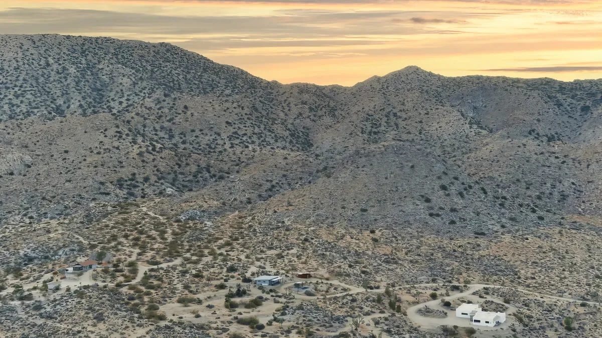 Wander Joshua Tree Sunset #44