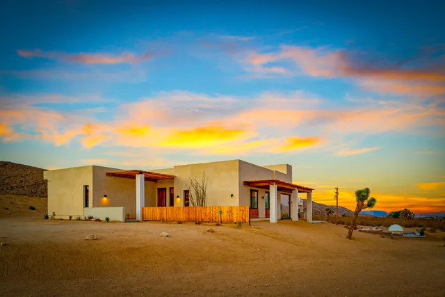 Wander Joshua Tree Vista #4