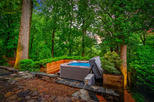 Wander Washington D.C. #2