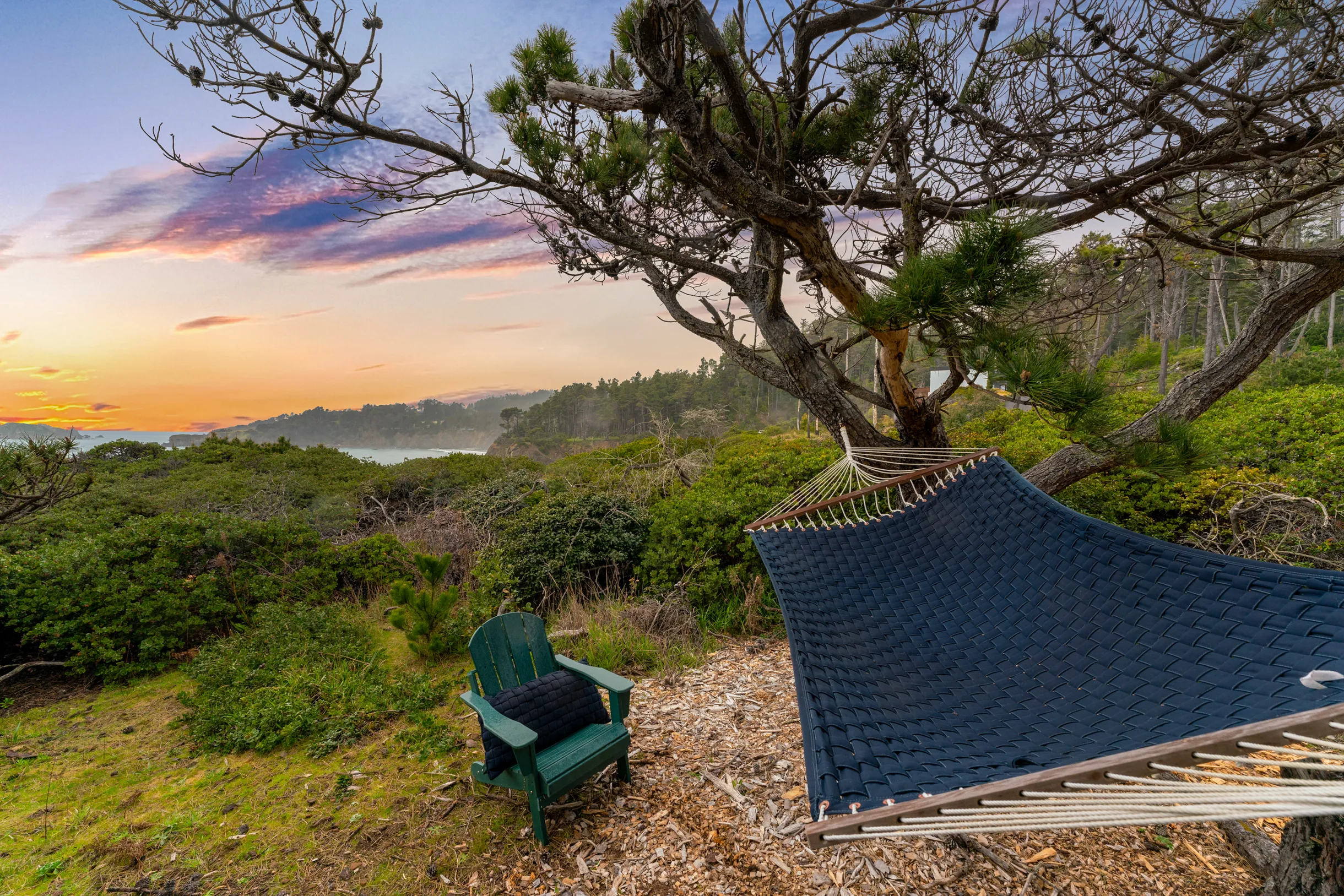 Wander Anchor Bay #50