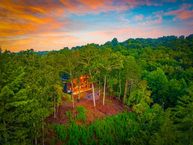 Wander Blue Ridge Stream