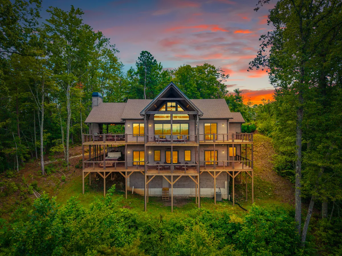 Wander Georgia Bears #1