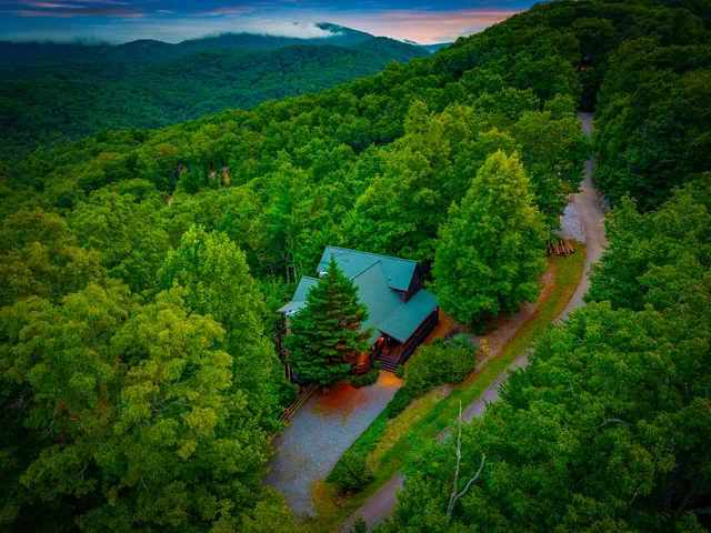 Wander Georgia Canopy #4