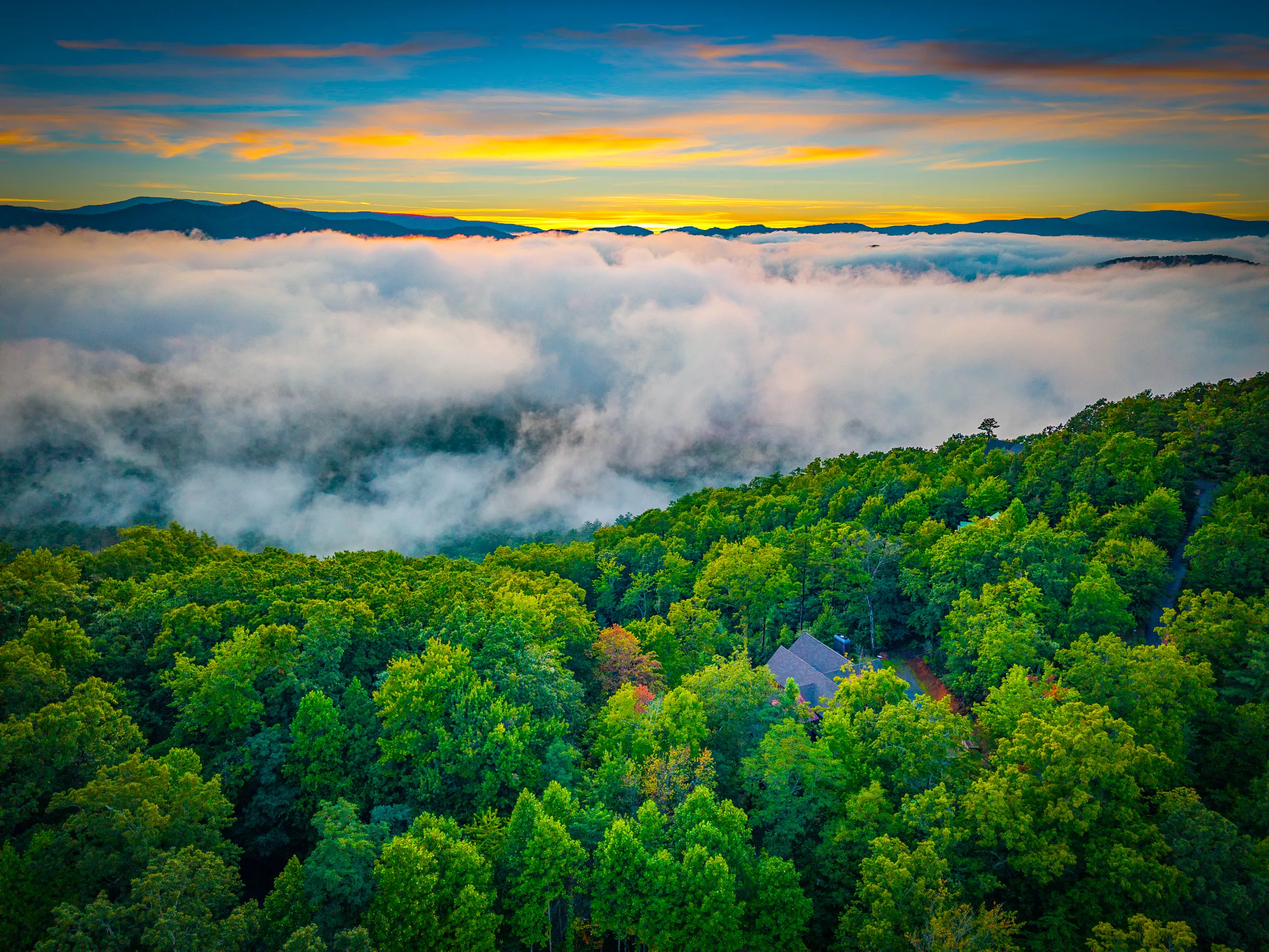 Wander Georgia Ridge #92