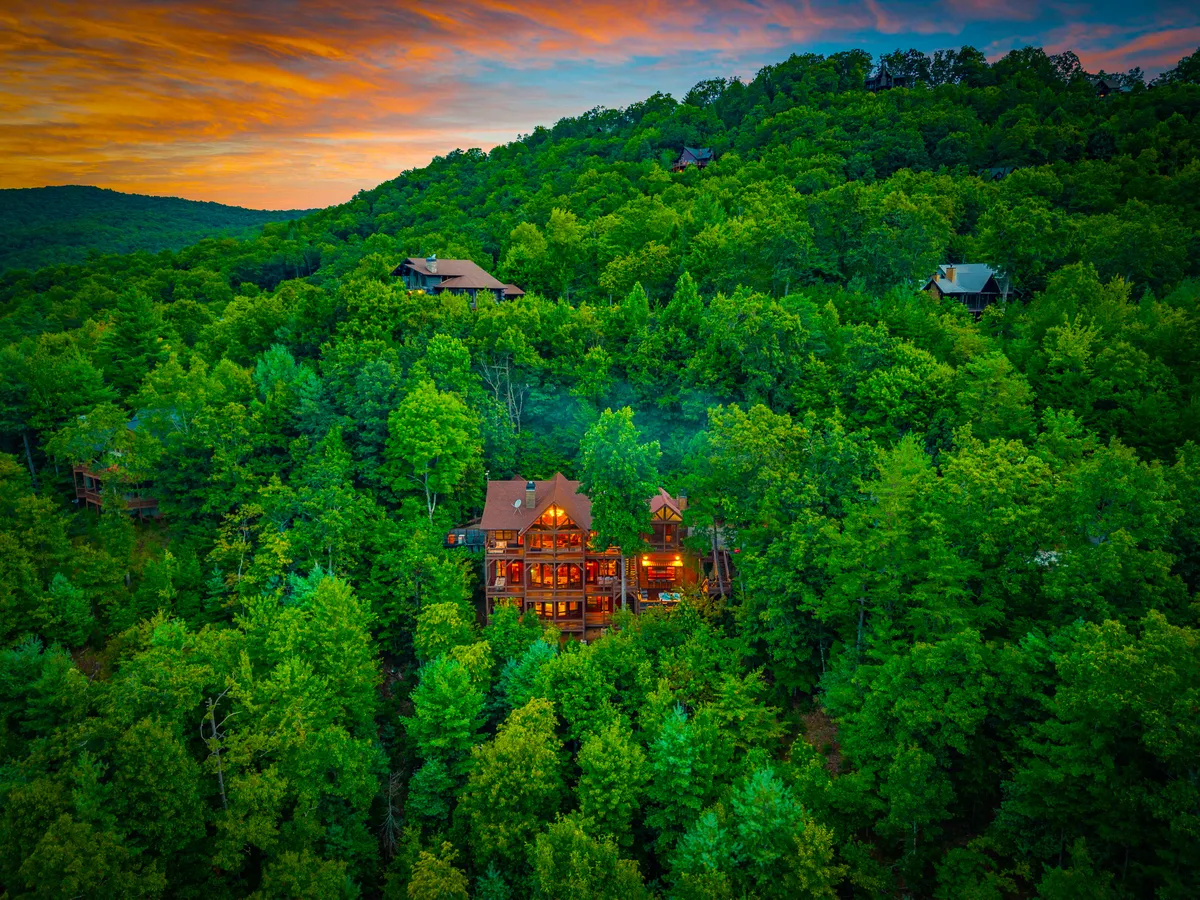 Wander Georgia Woods