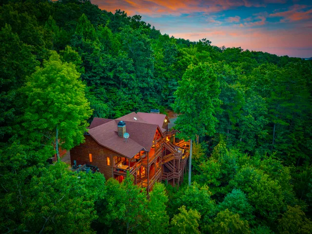 Wander Georgia Woods