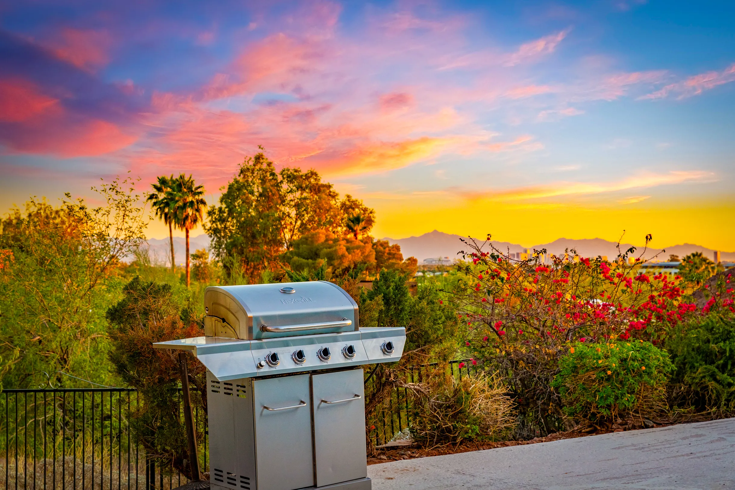 Wander Phoenix Glow #18