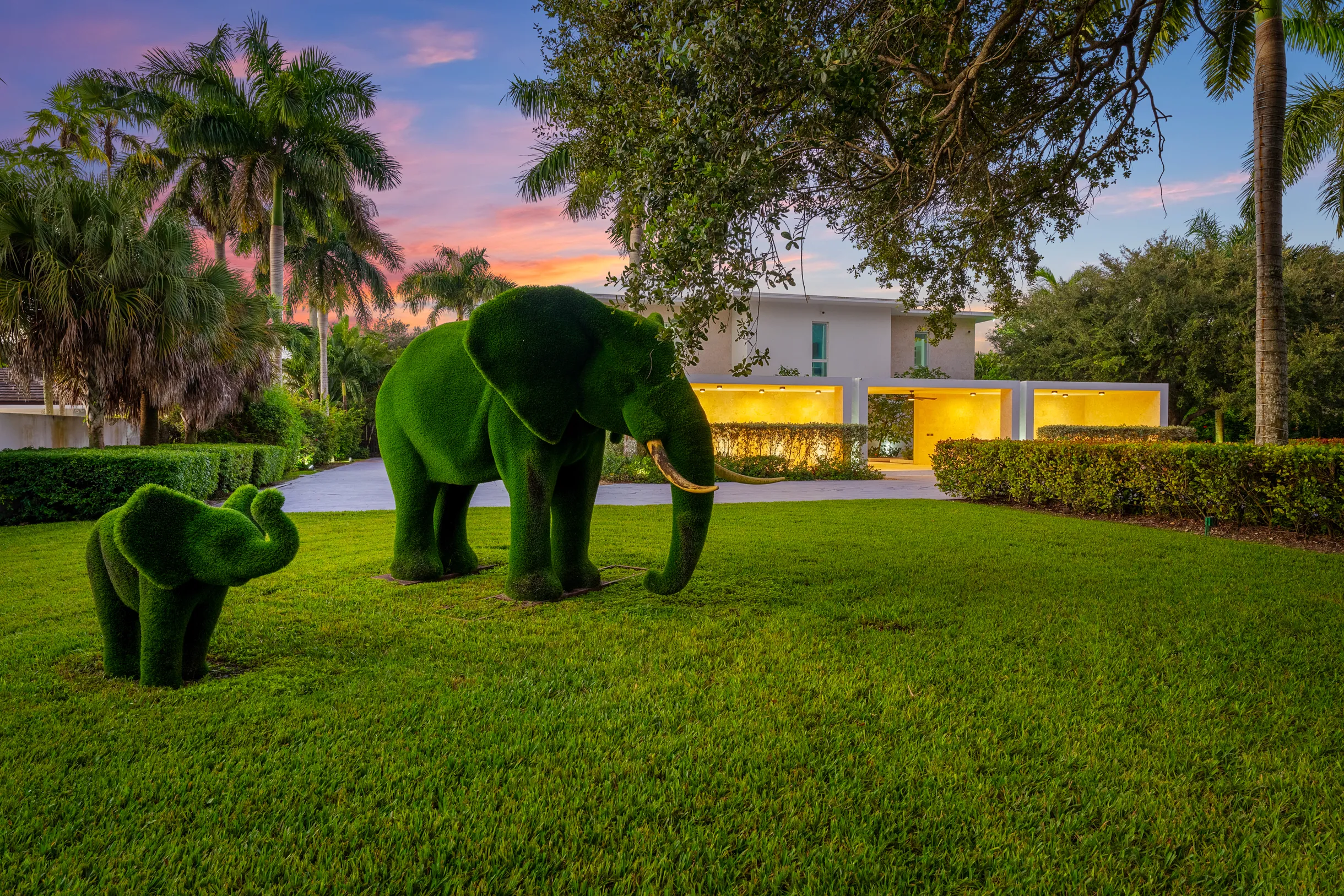 Wander Pinecrest Palms #65