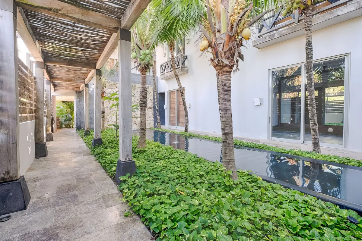 Wander Playa Del Carmen #57