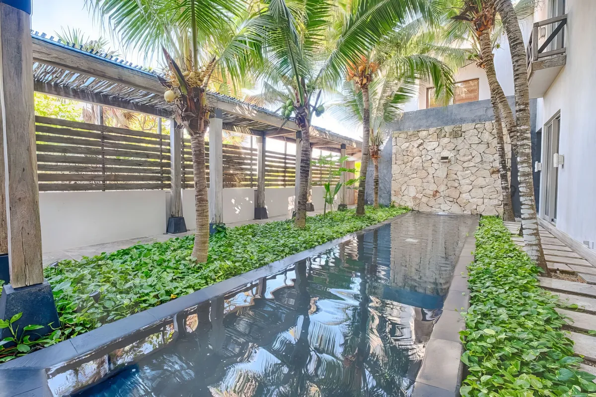 Wander Playa Del Carmen #21