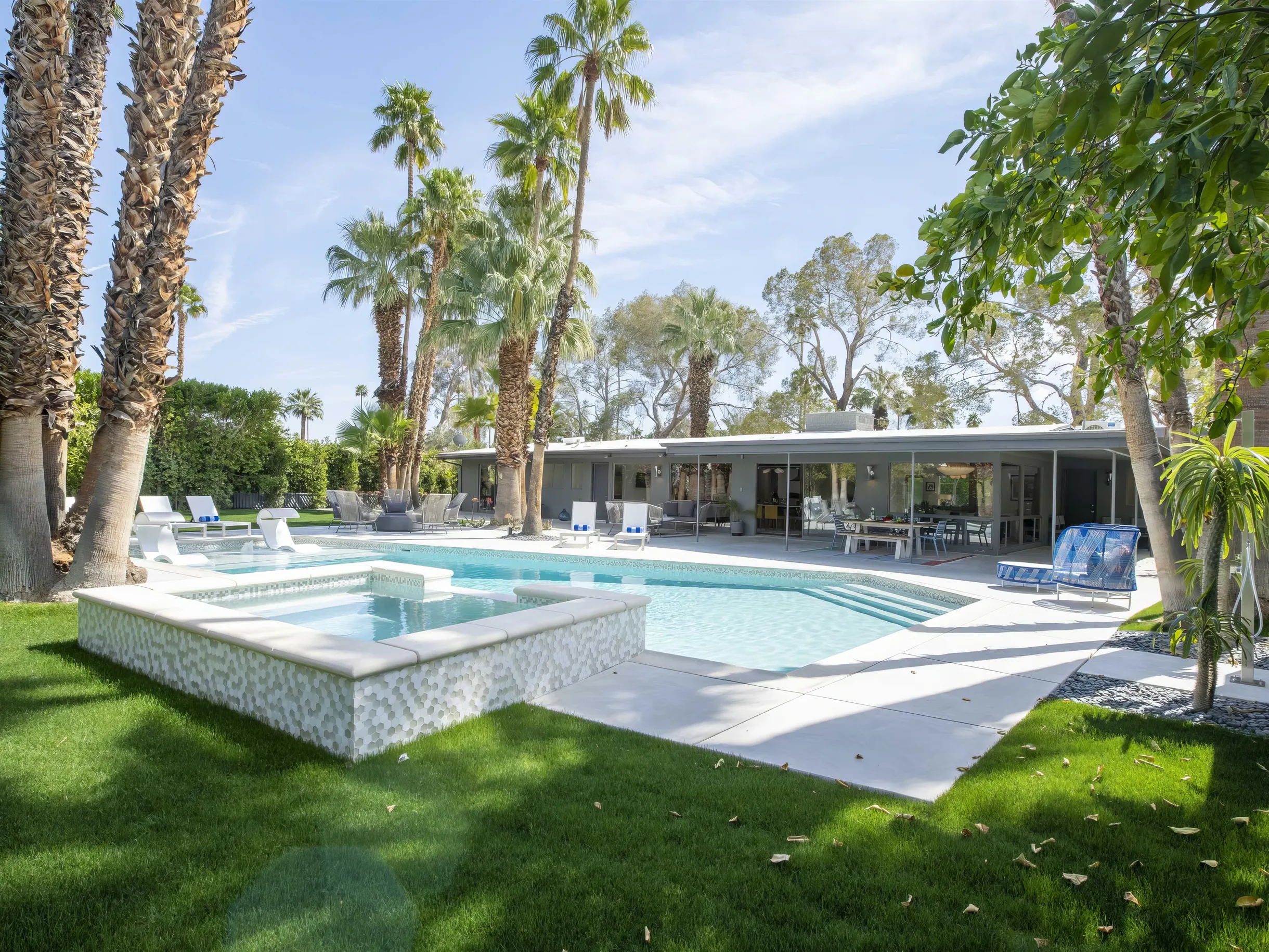 Wander Palm Springs Elm #57