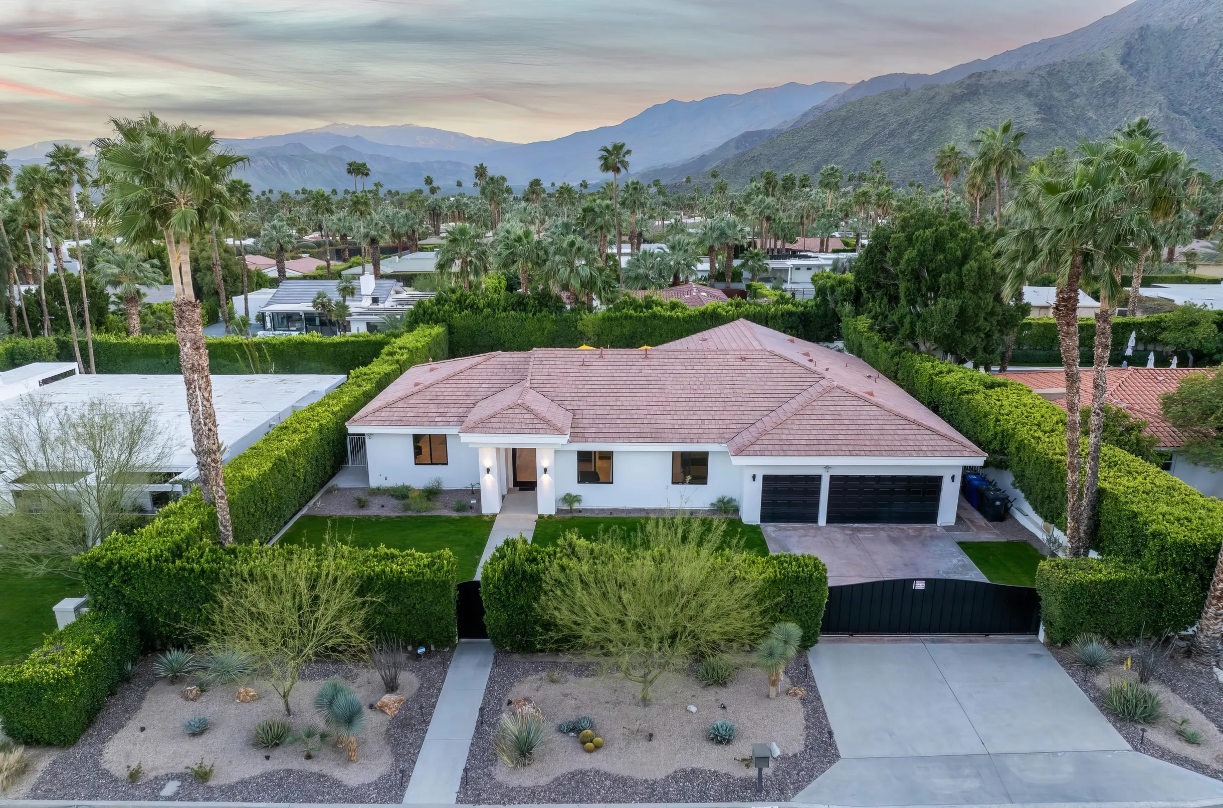 Wander Palm Springs Sunrise #41