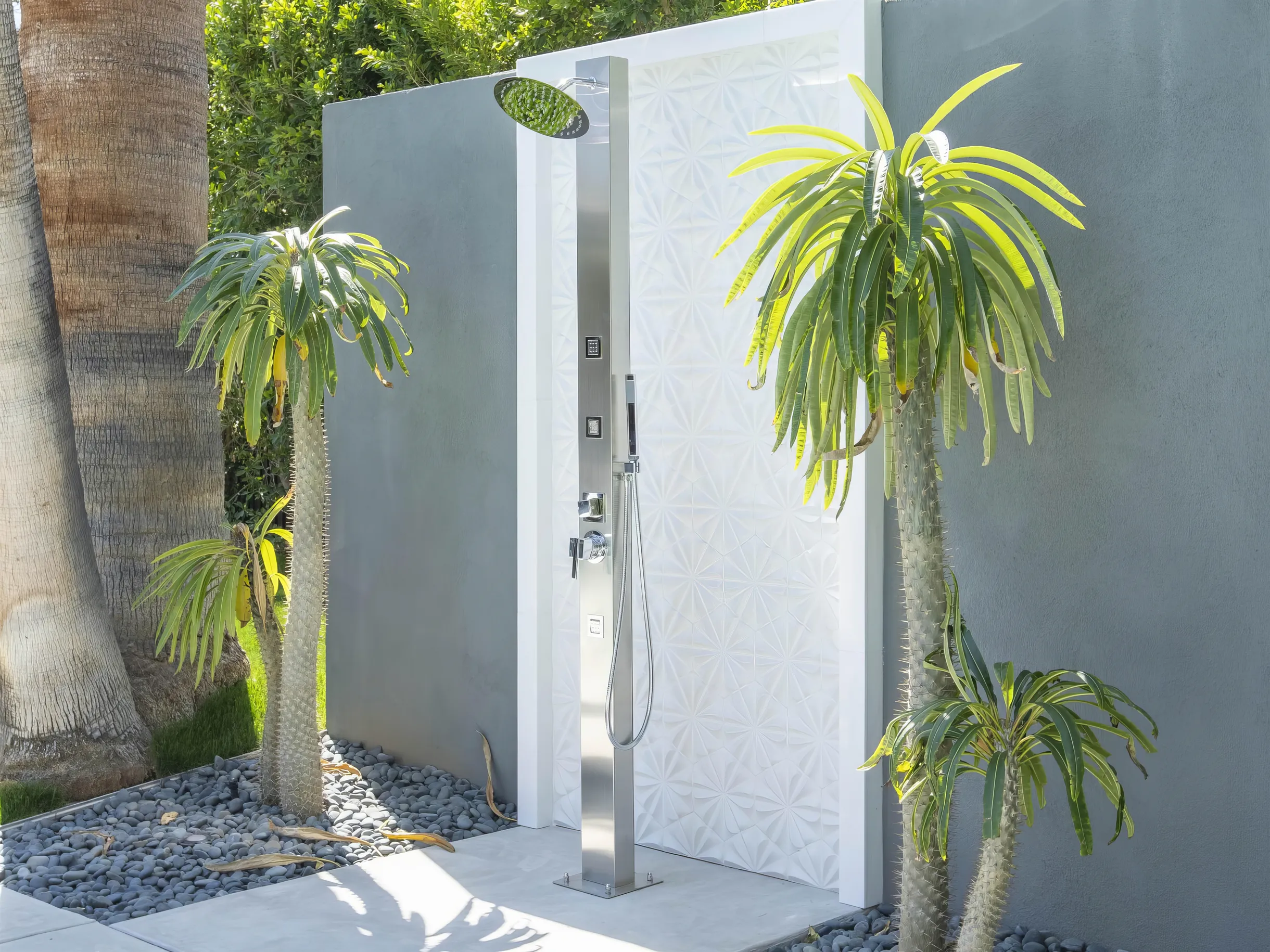 Wander Palm Springs Elm #58