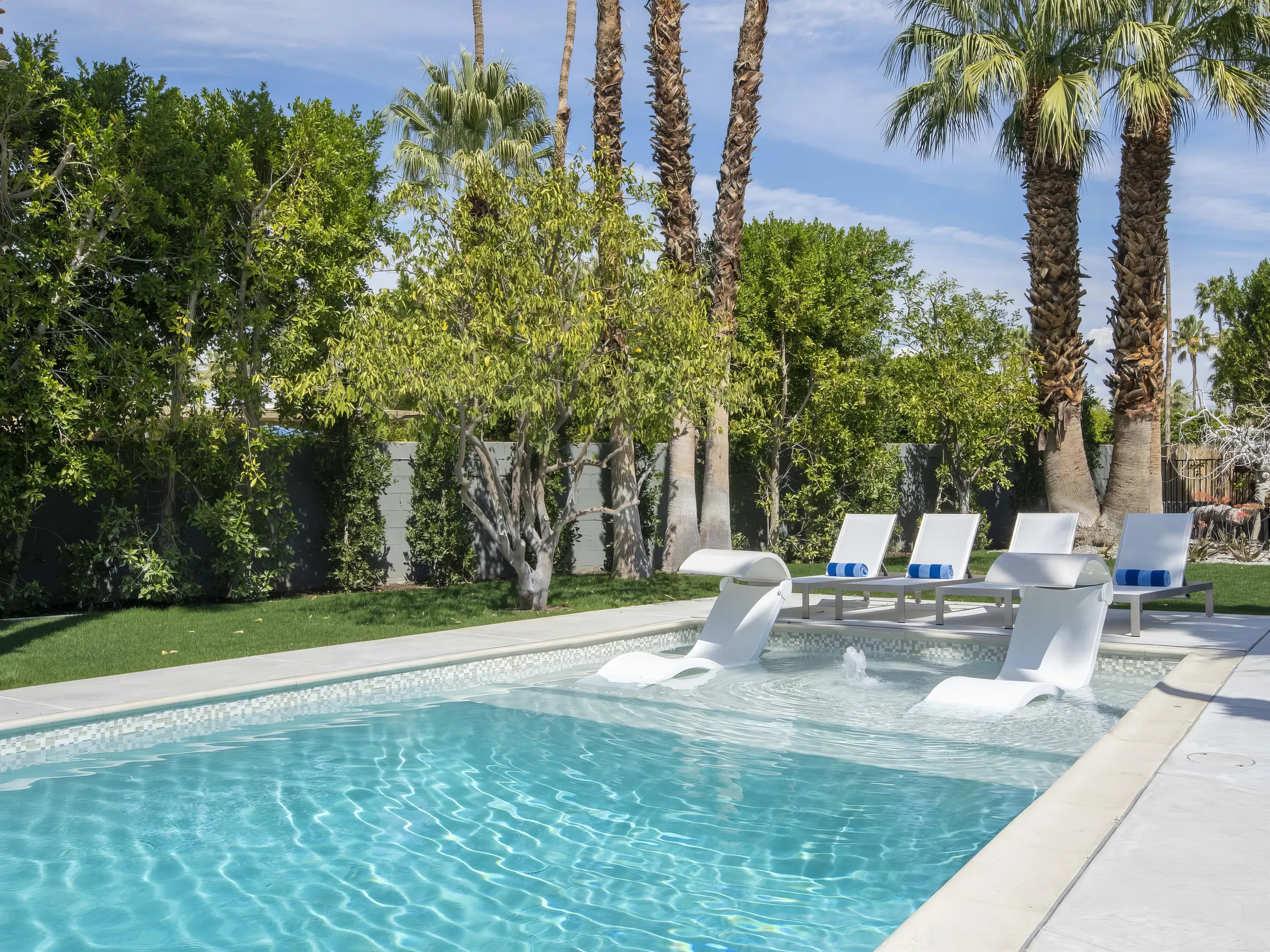 Wander Palm Springs Elm #59
