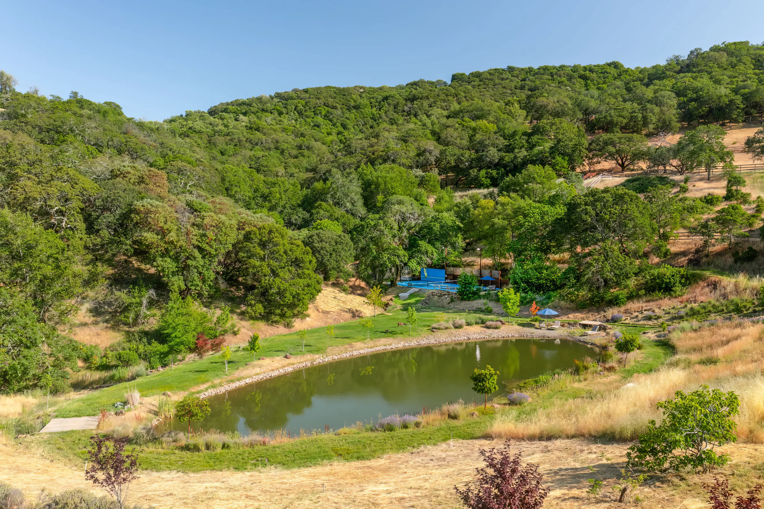 Wander Sonoma Mountain #110