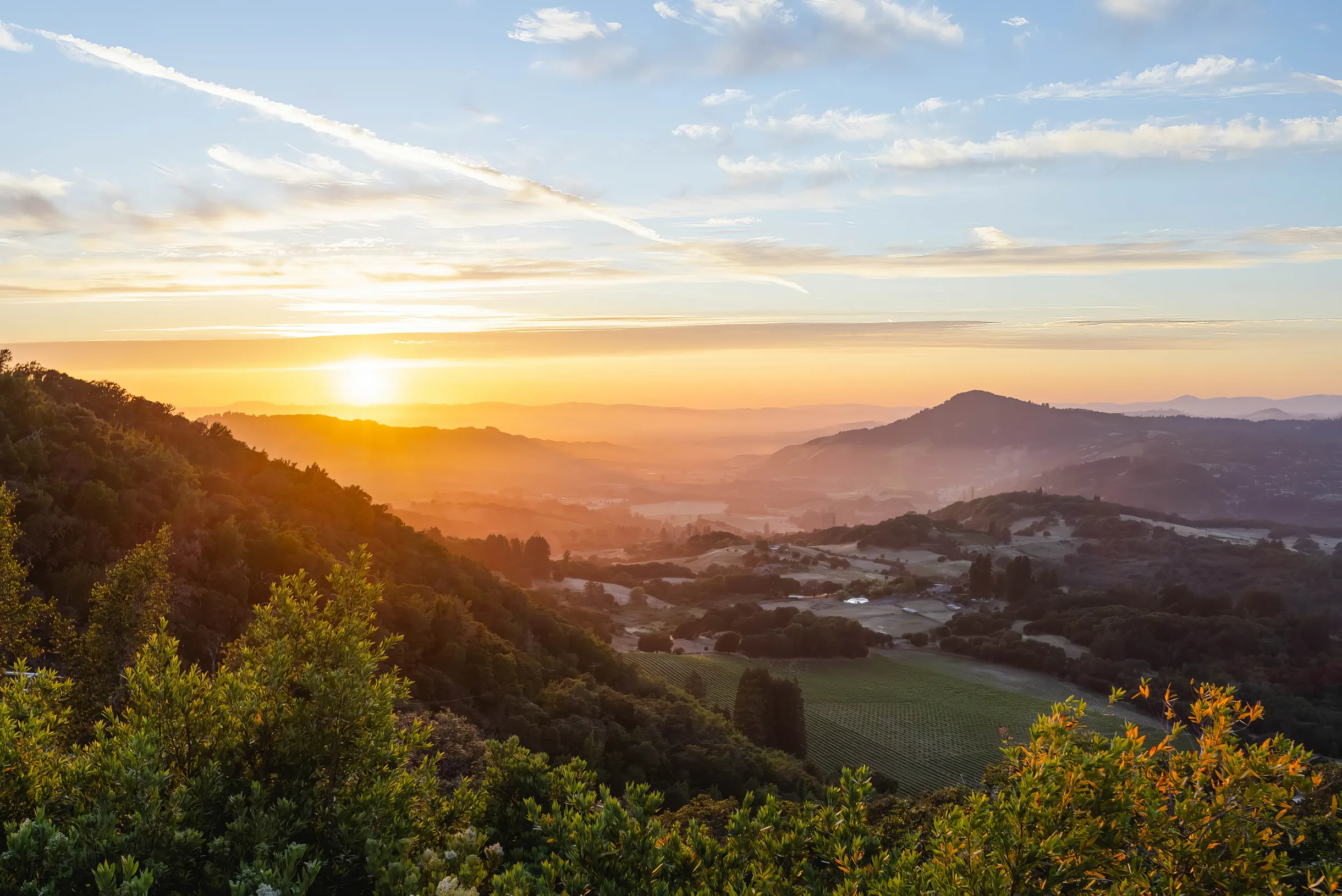 Wander Sonoma Mountain #114