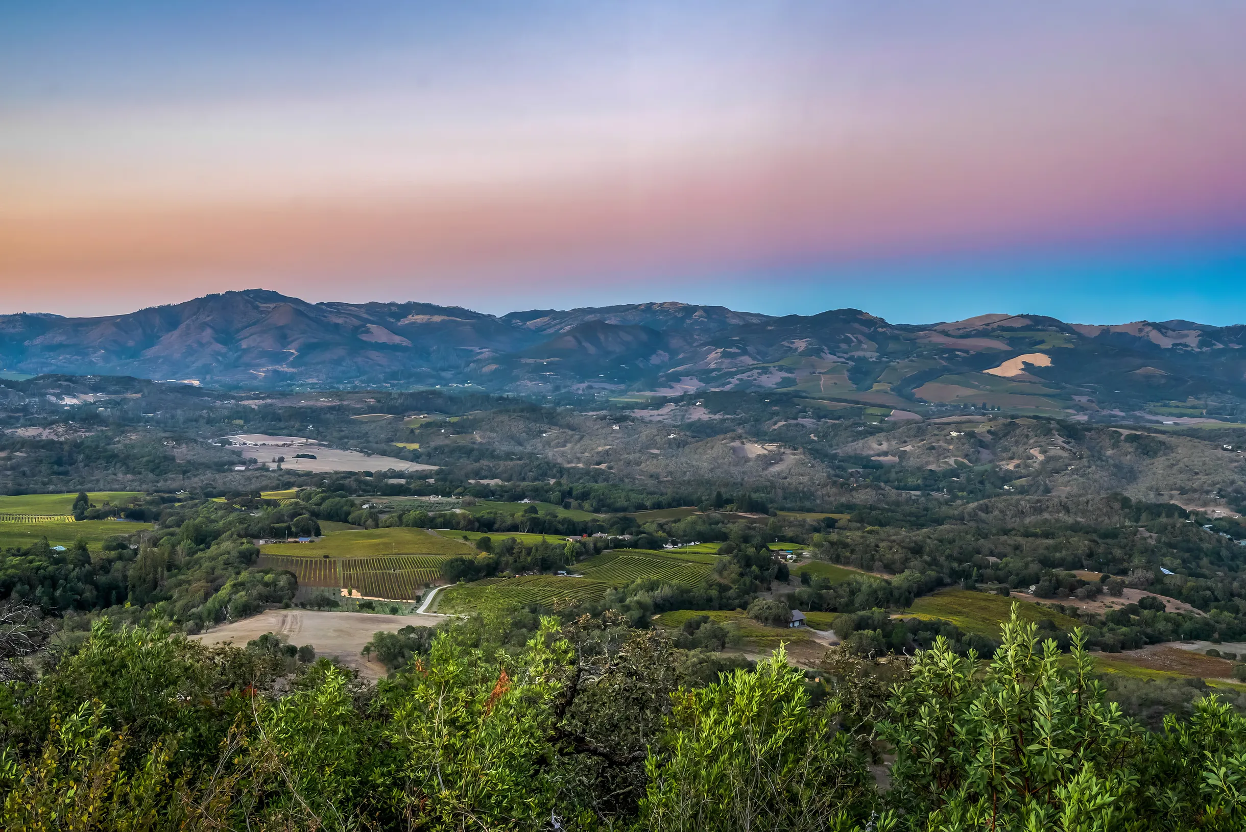 Wander Sonoma Estate #33