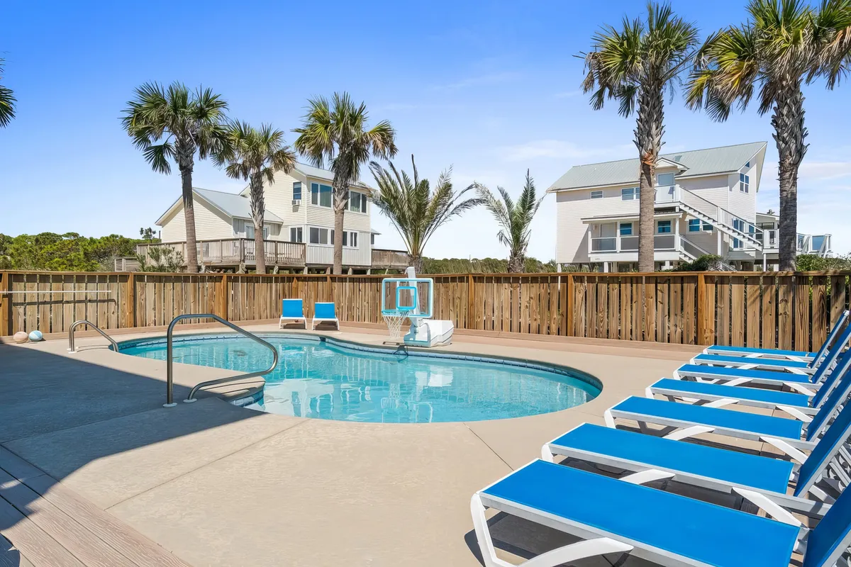 Wander St. George Island Palms