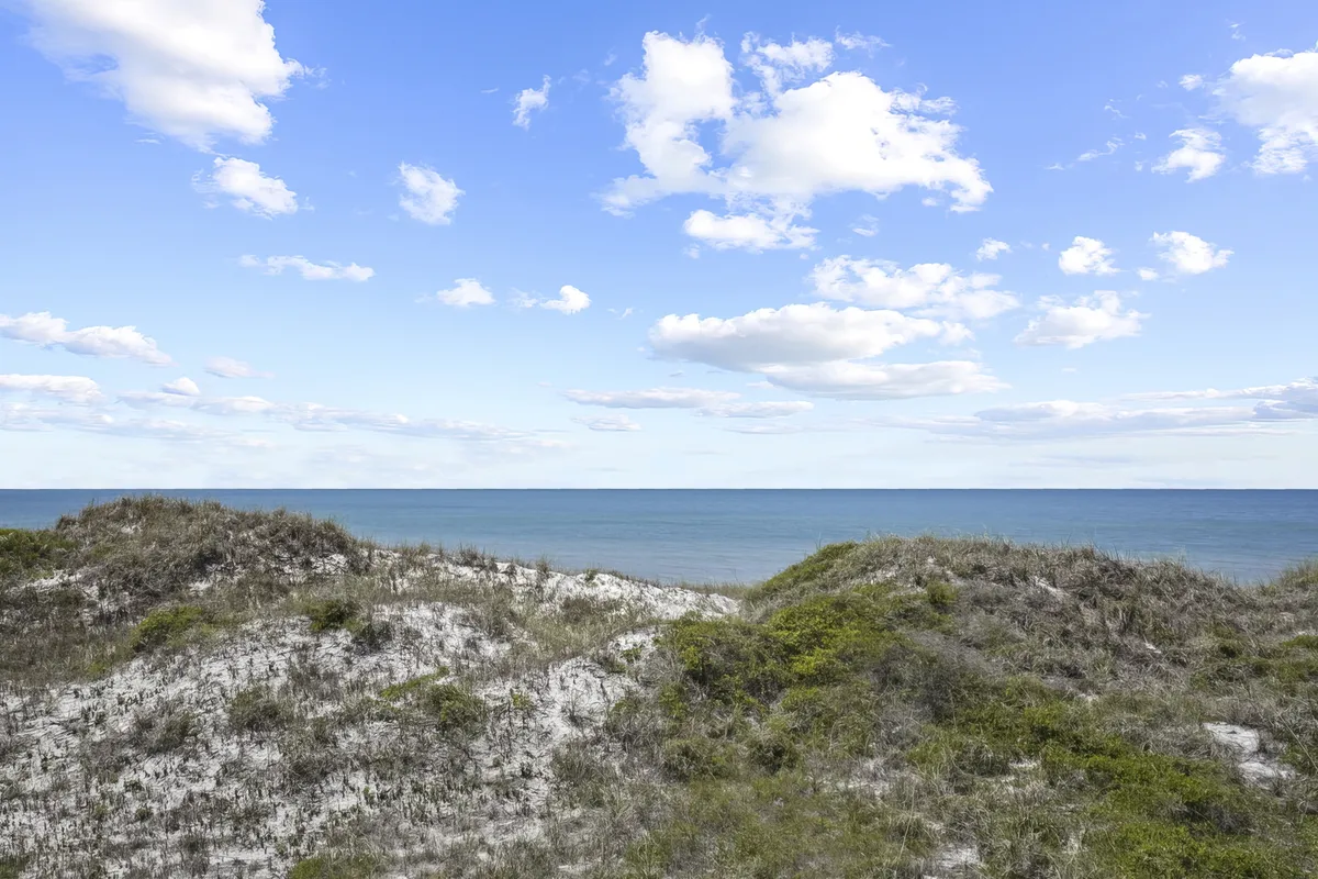 Shore Perfection #48