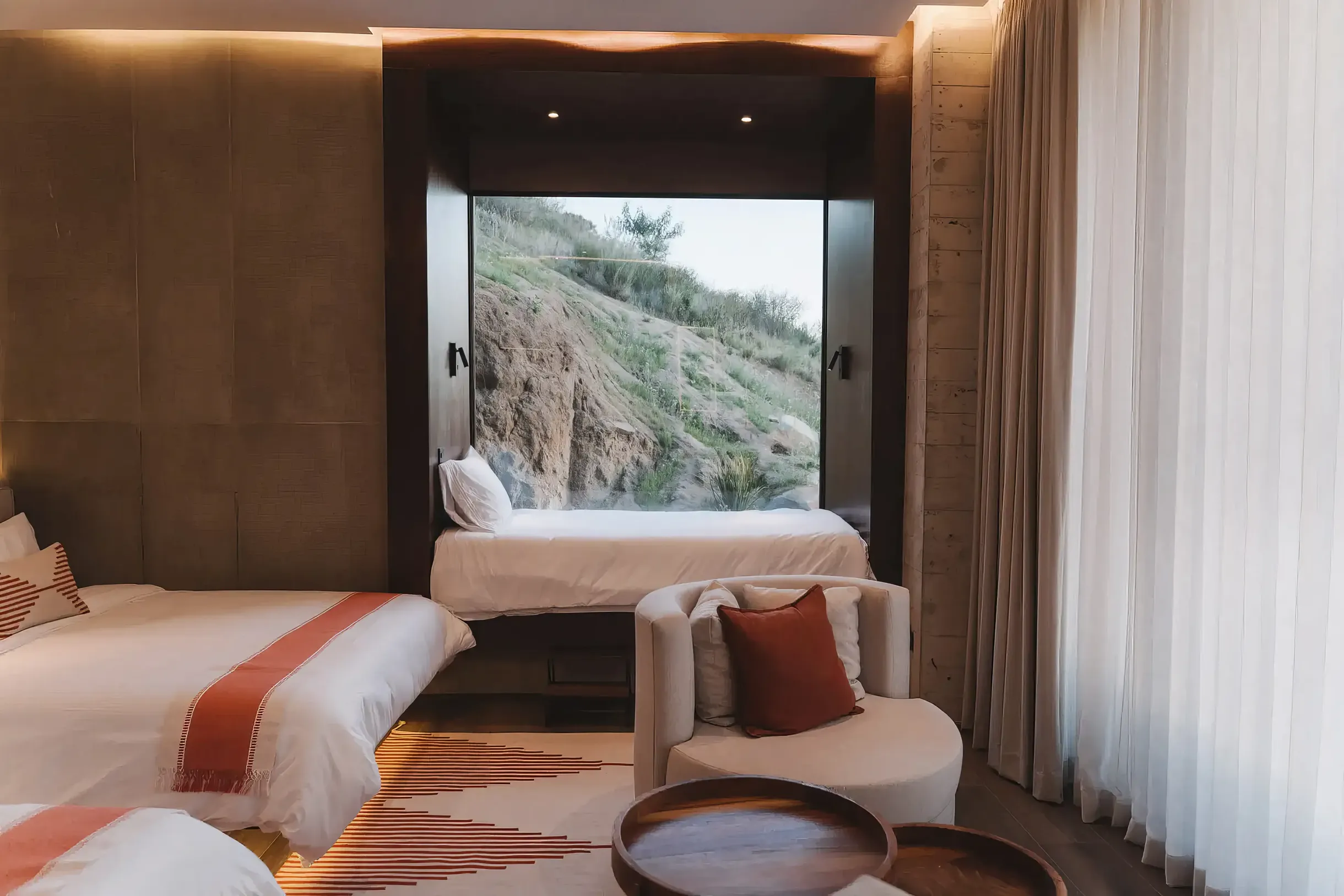 Wander Baja California Vineyards #5