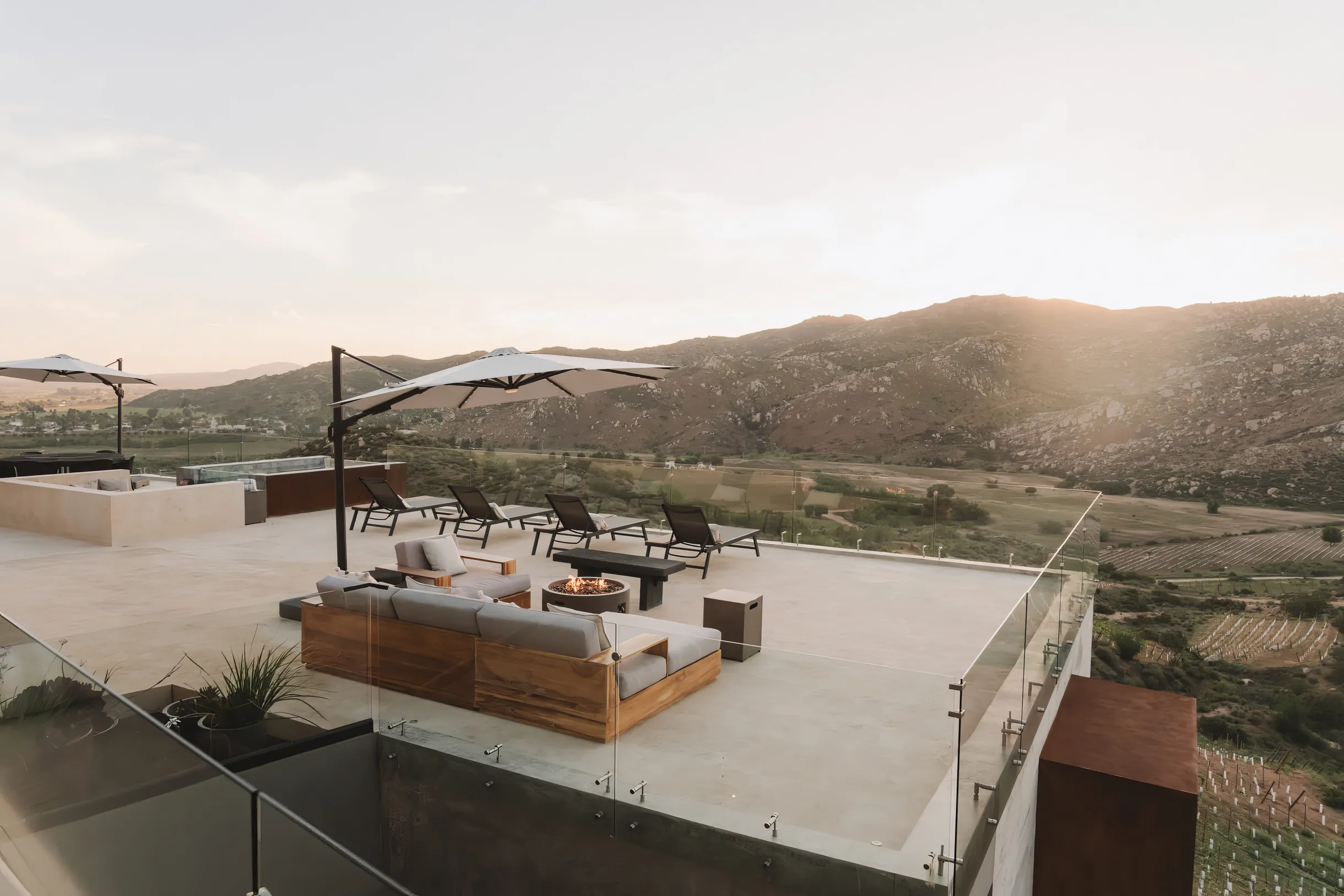 Wander Baja California Vineyards #9