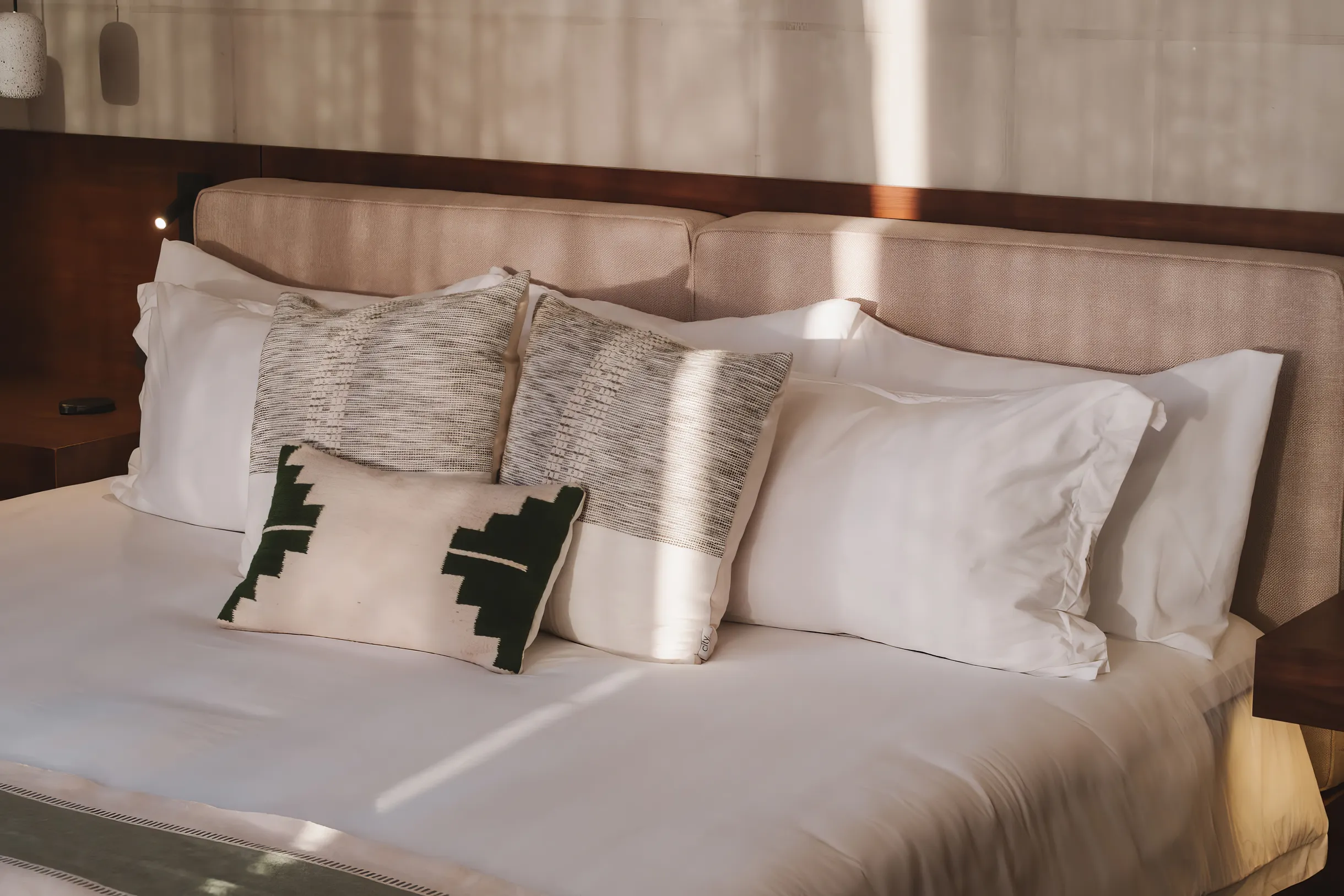 Wander Baja California Vineyards #16