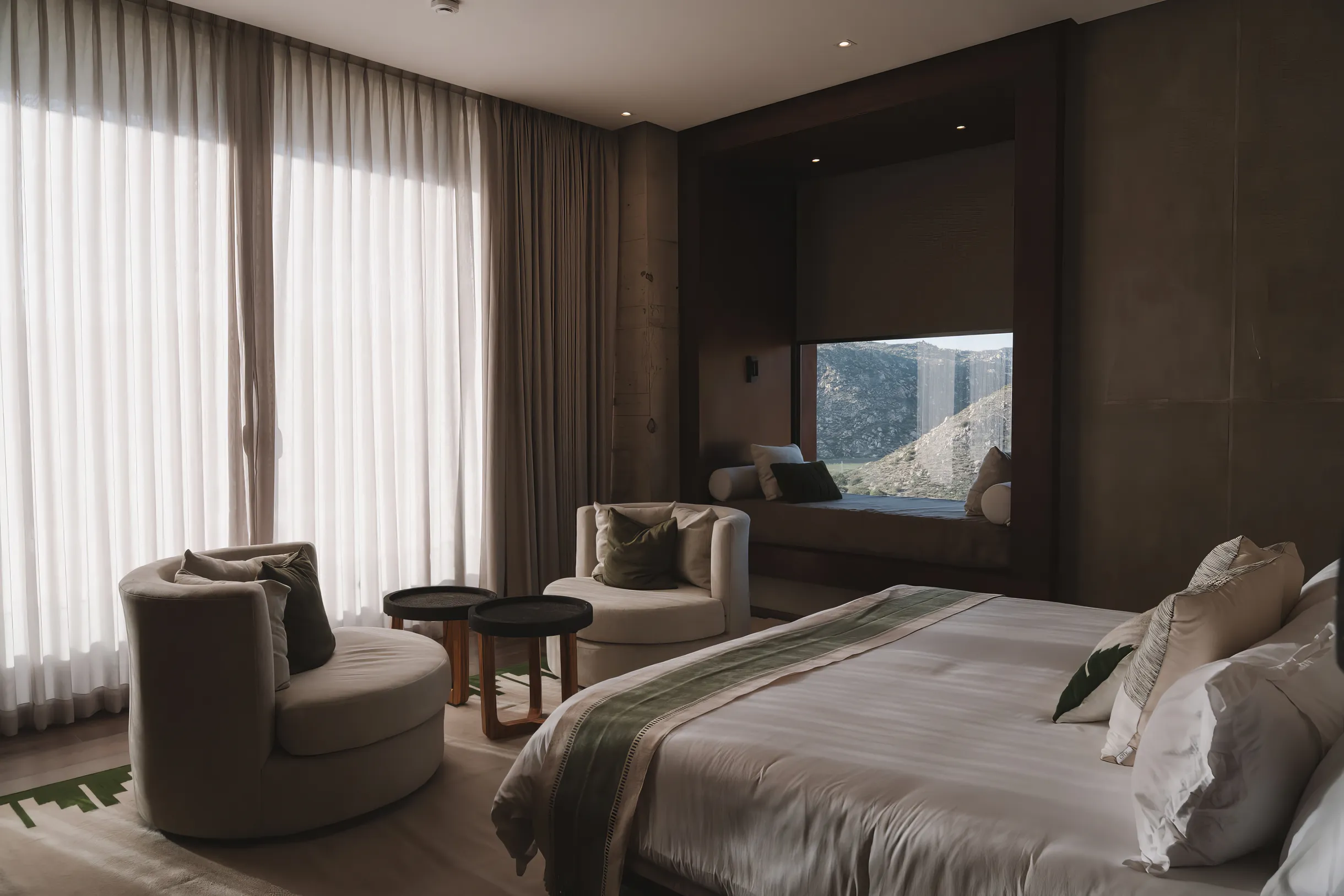 Wander Baja California Vineyards #17