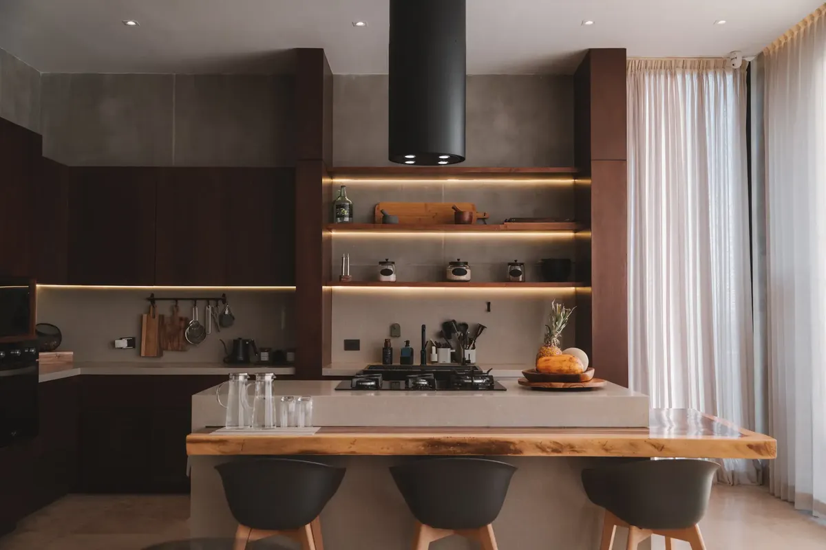 Wander Baja California Vineyards #19