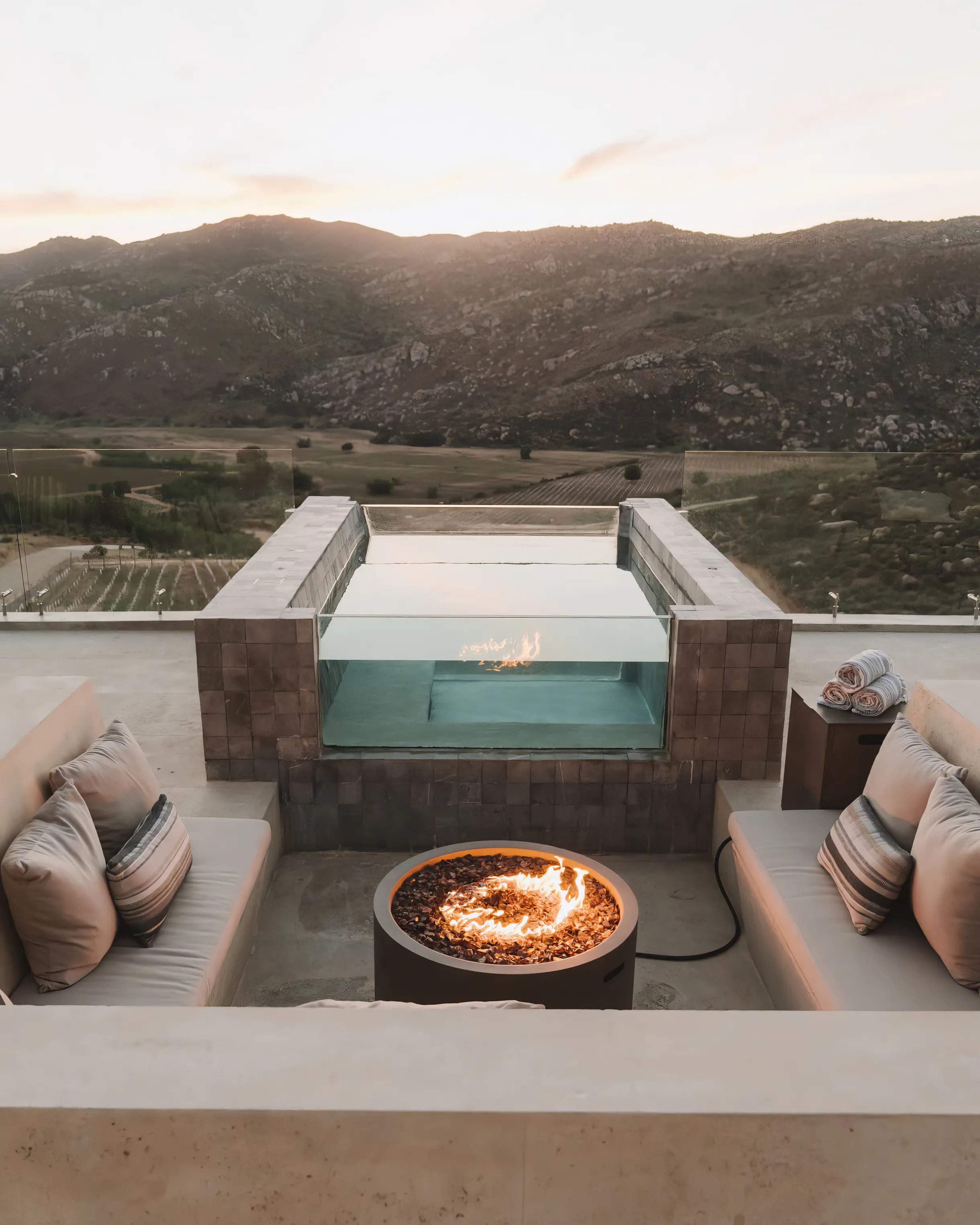 Wander Baja California Vineyards #21