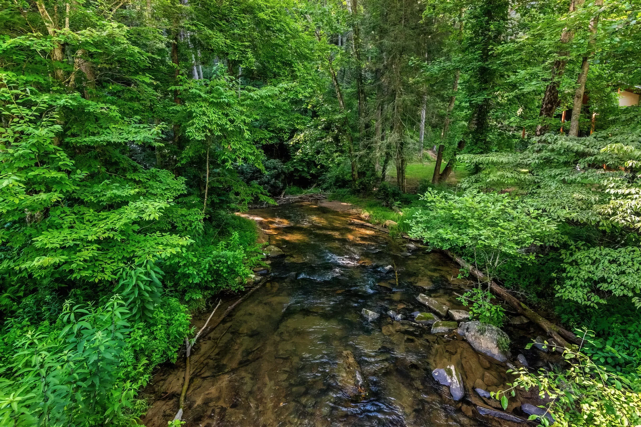 Wander Ellijay Creekside #62