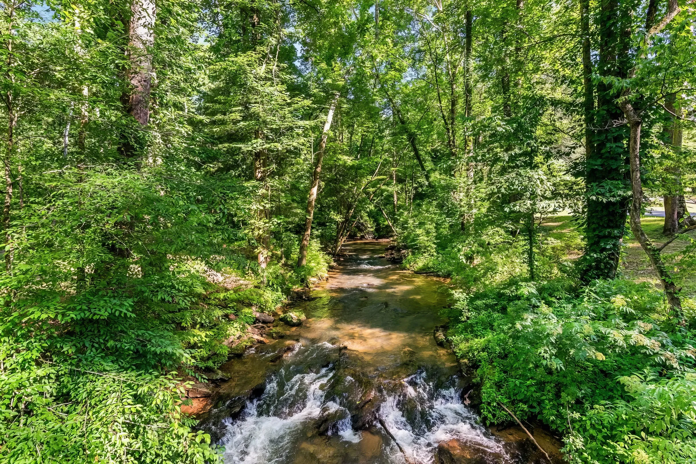 Wander Ellijay Creekside #60