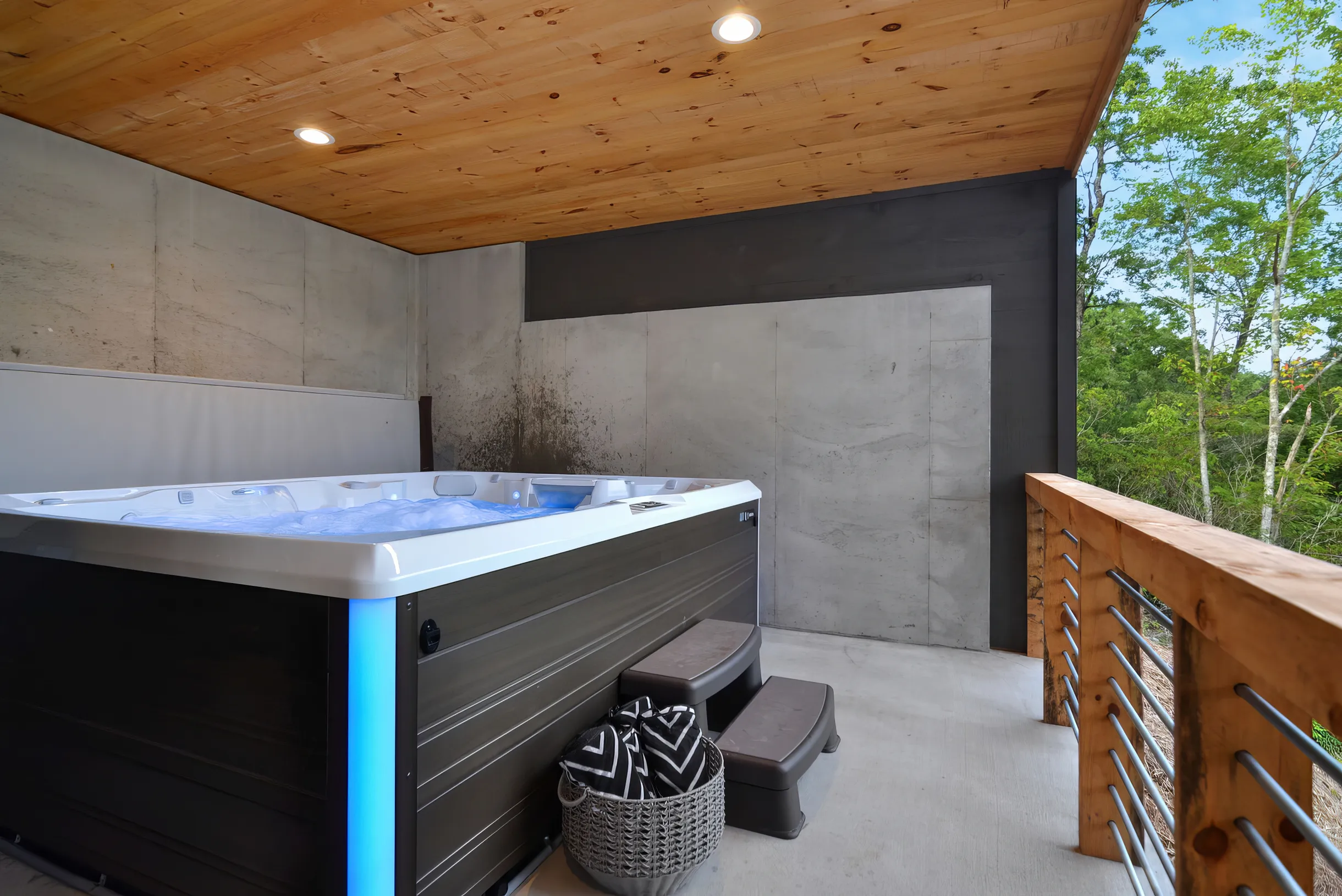 Wander Blue Ridge Manor #9