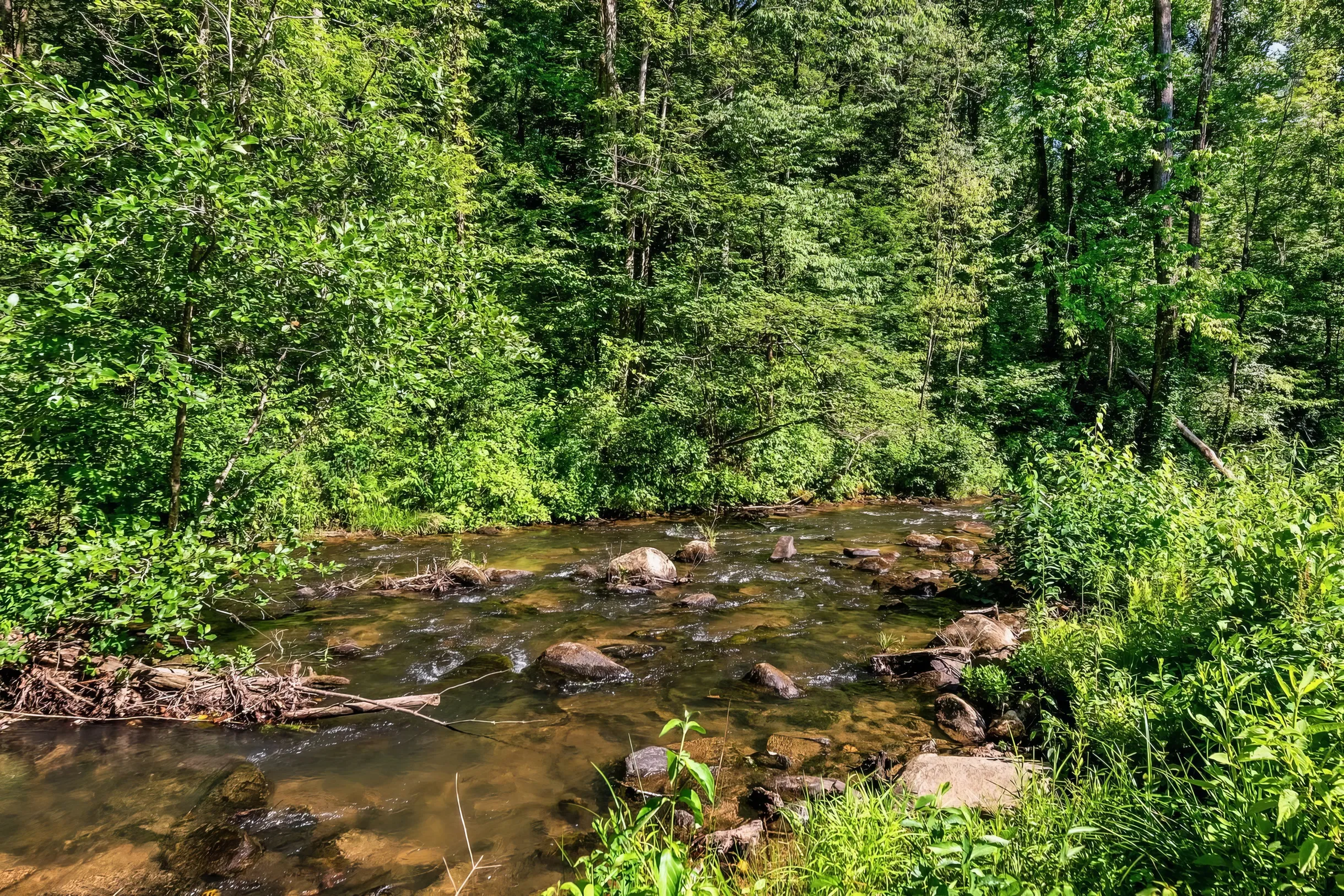 Wander Ellijay Creekside #61