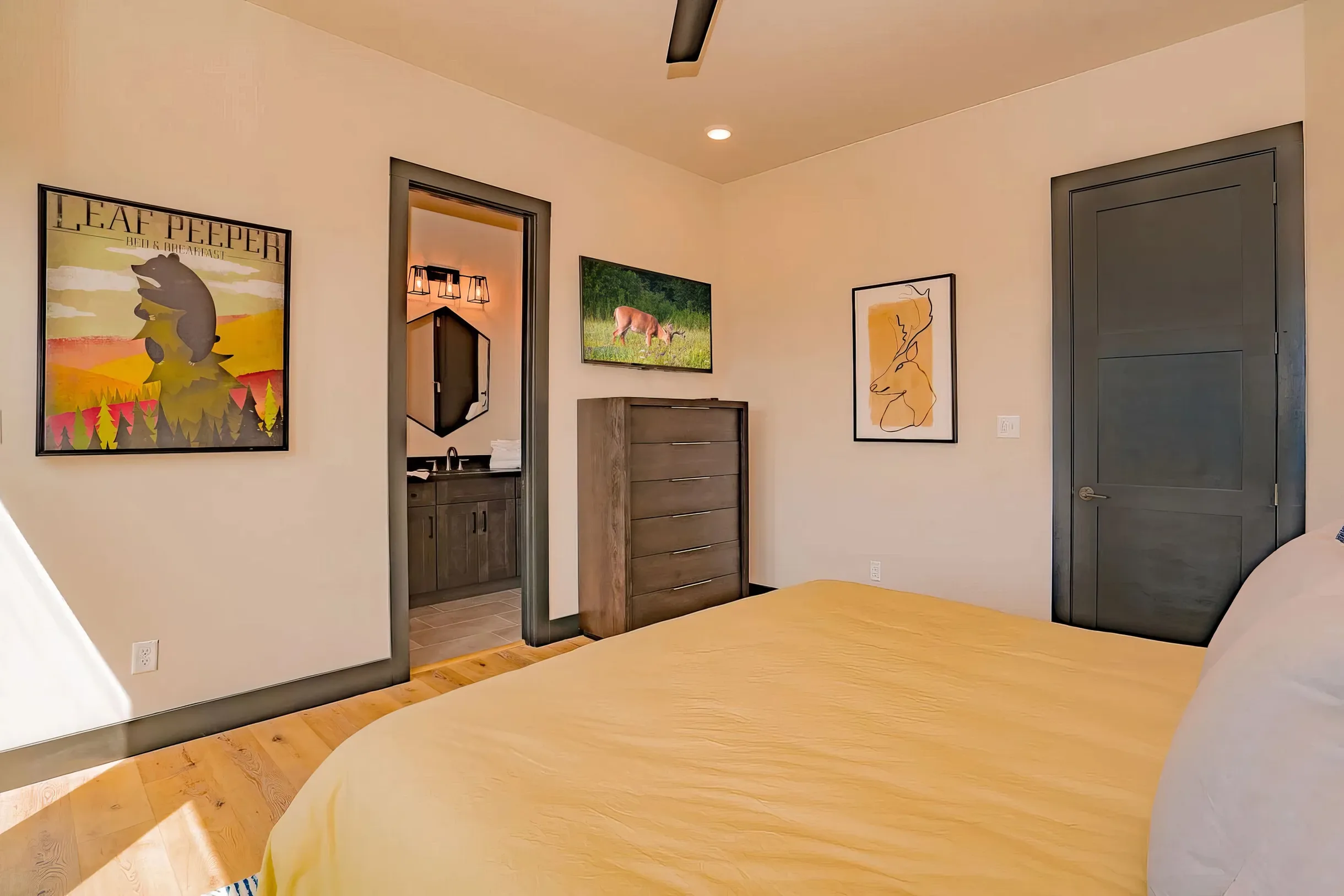 Wander Smoky Panorama #34