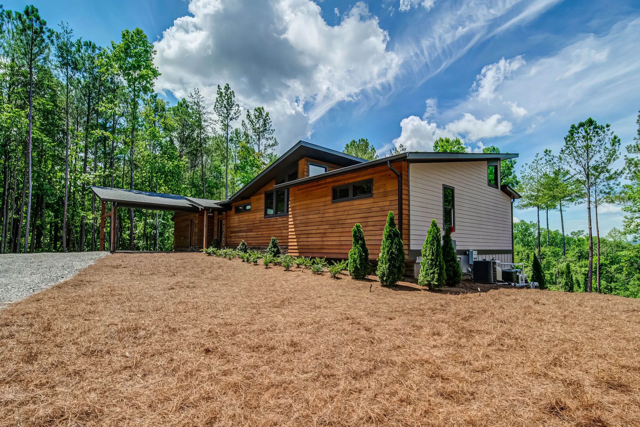 Wander Blue Ridge Grace #54