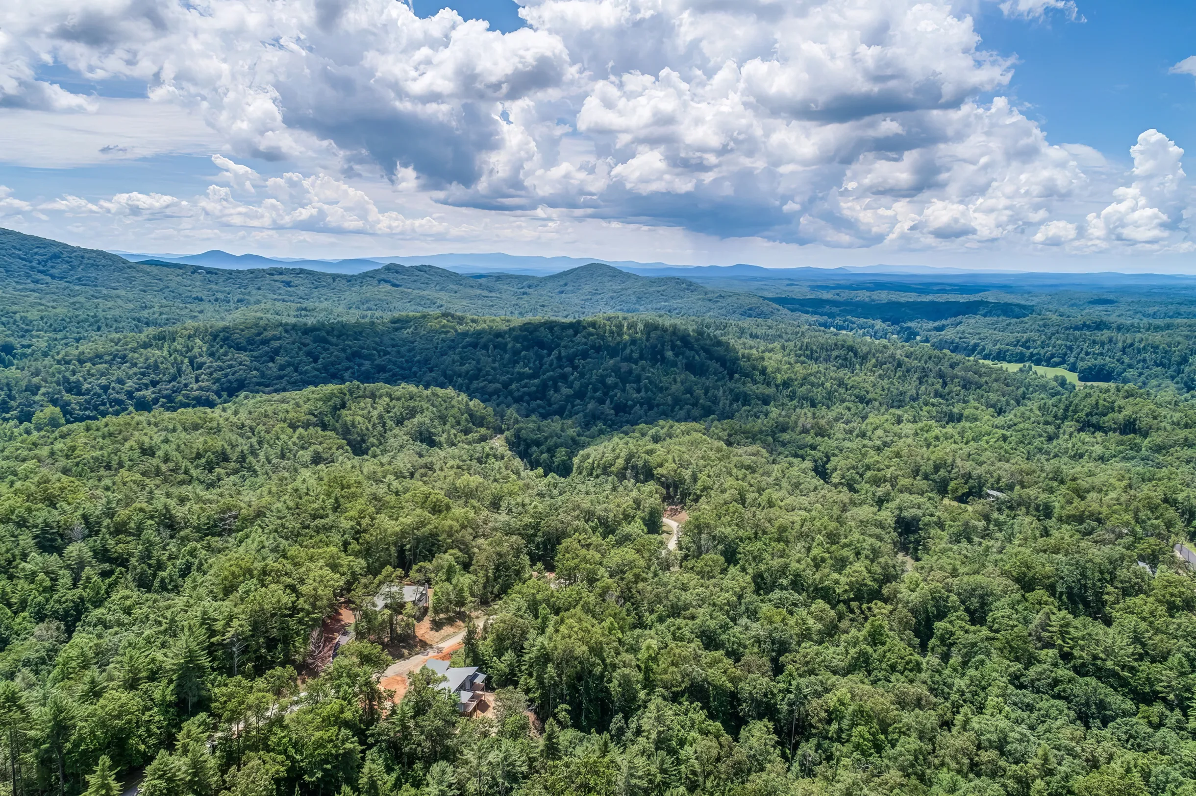 Wander Blue Ridge Grace #64