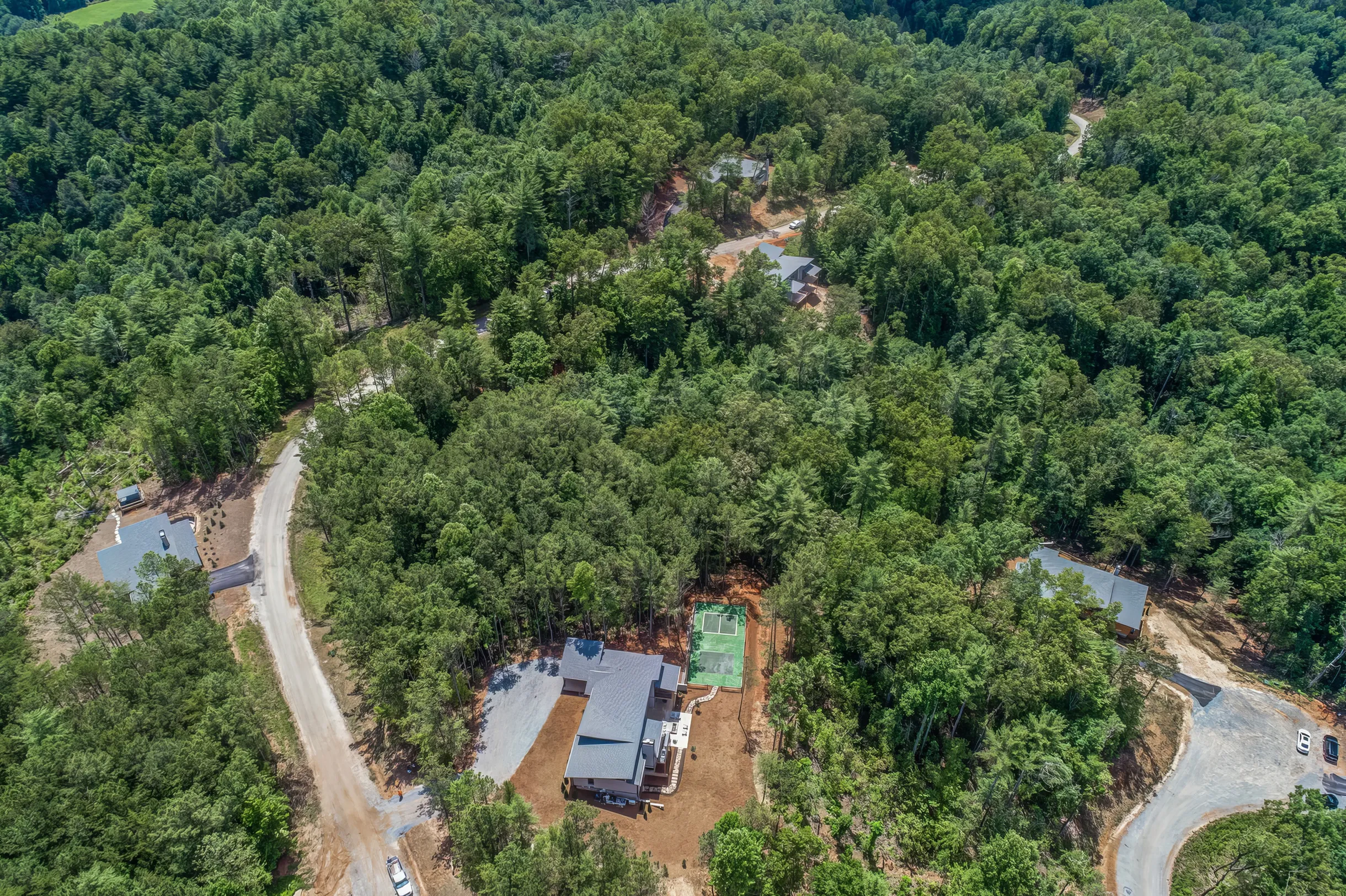 Wander Blue Ridge Grace #50